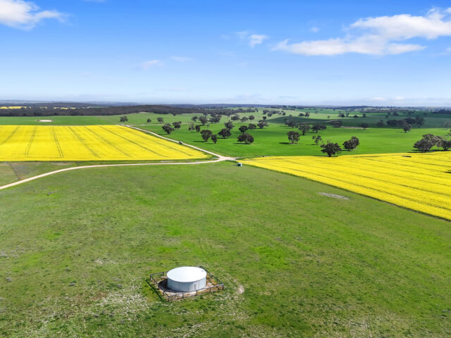 559 Old Stone Tank Road, Mundulla SA 5270