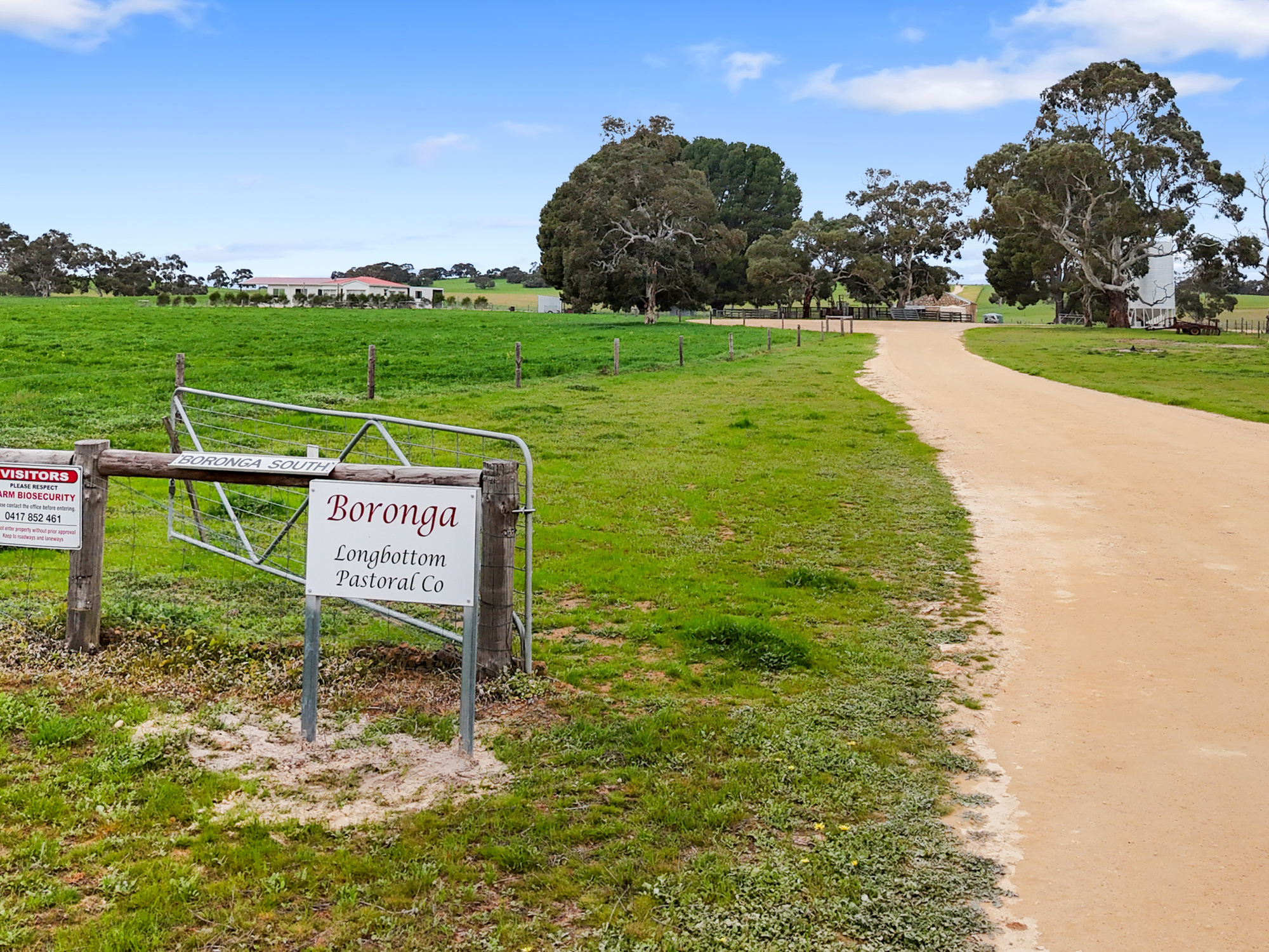559 Old Stone Tank Road, Mundulla SA 5270