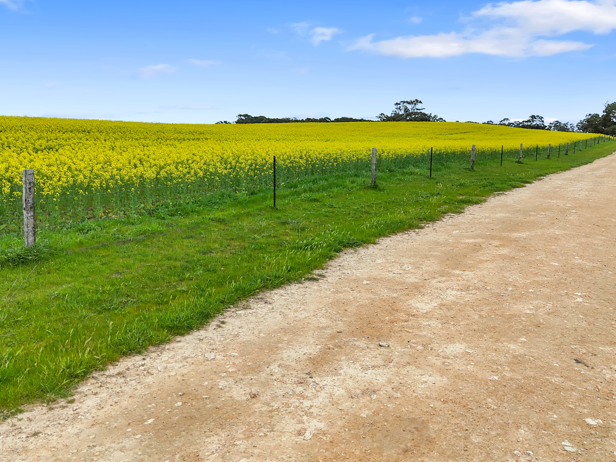559 Old Stone Tank Road, Mundulla SA 5270