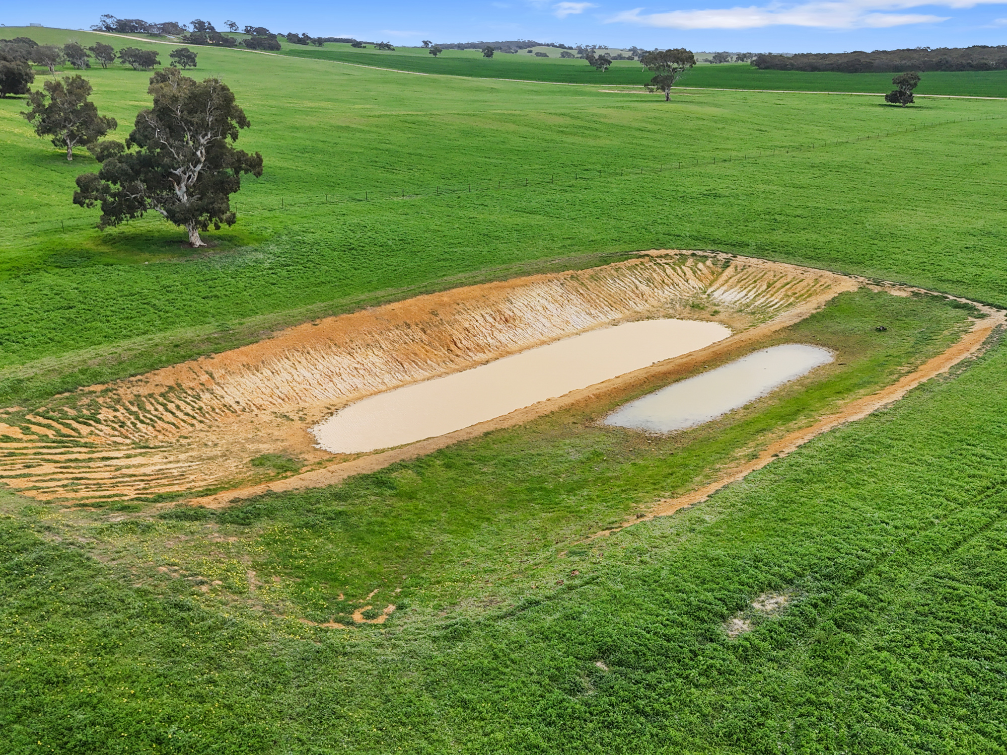 559 Old Stone Tank Road, Mundulla SA 5270