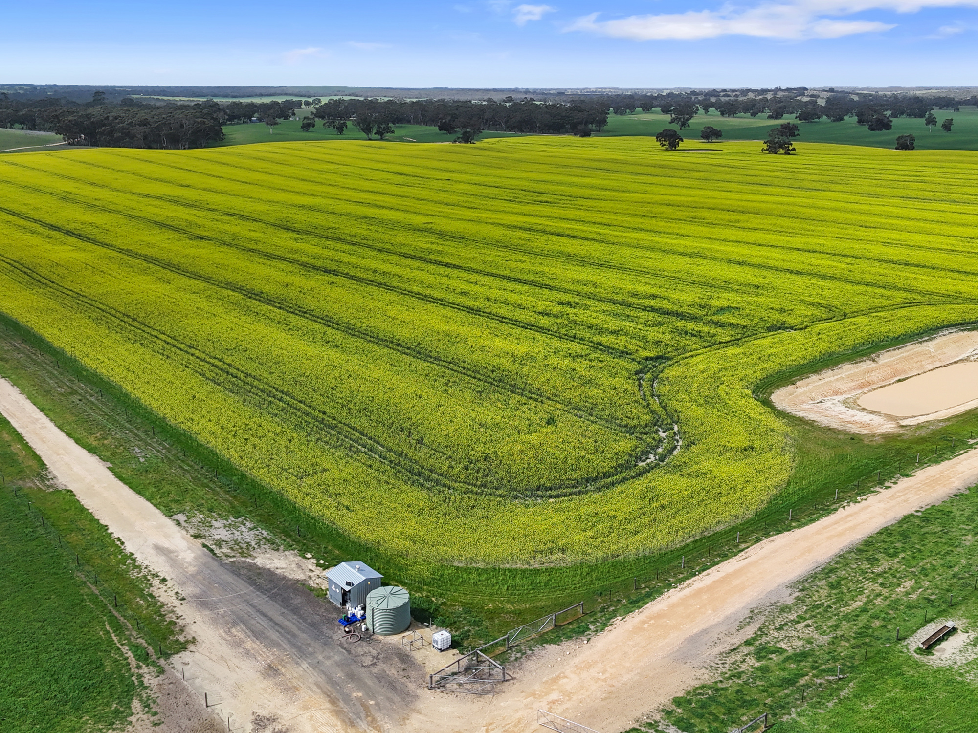559 Old Stone Tank Road, Mundulla SA 5270