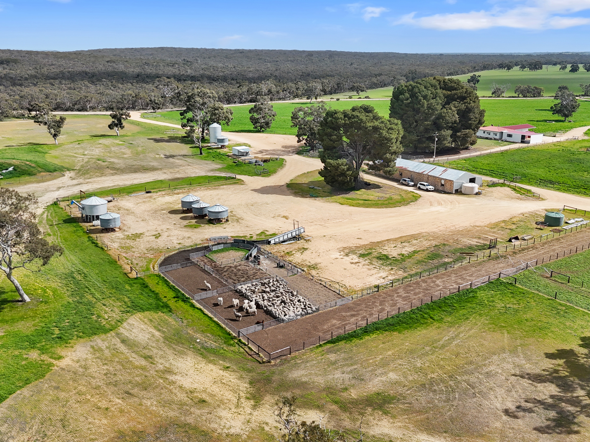 559 Old Stone Tank Road, Mundulla SA 5270