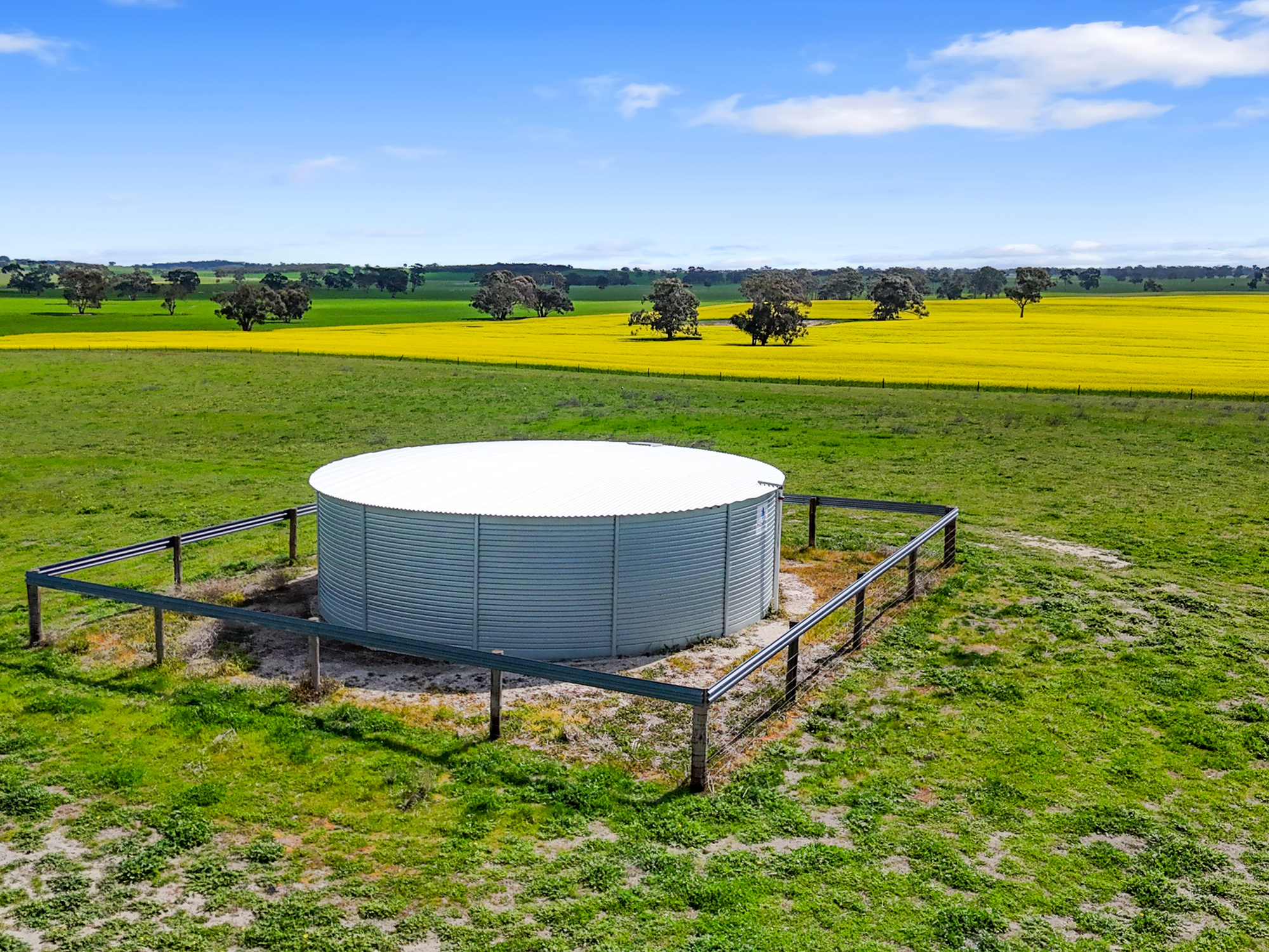 559 Old Stone Tank Road, Mundulla SA 5270