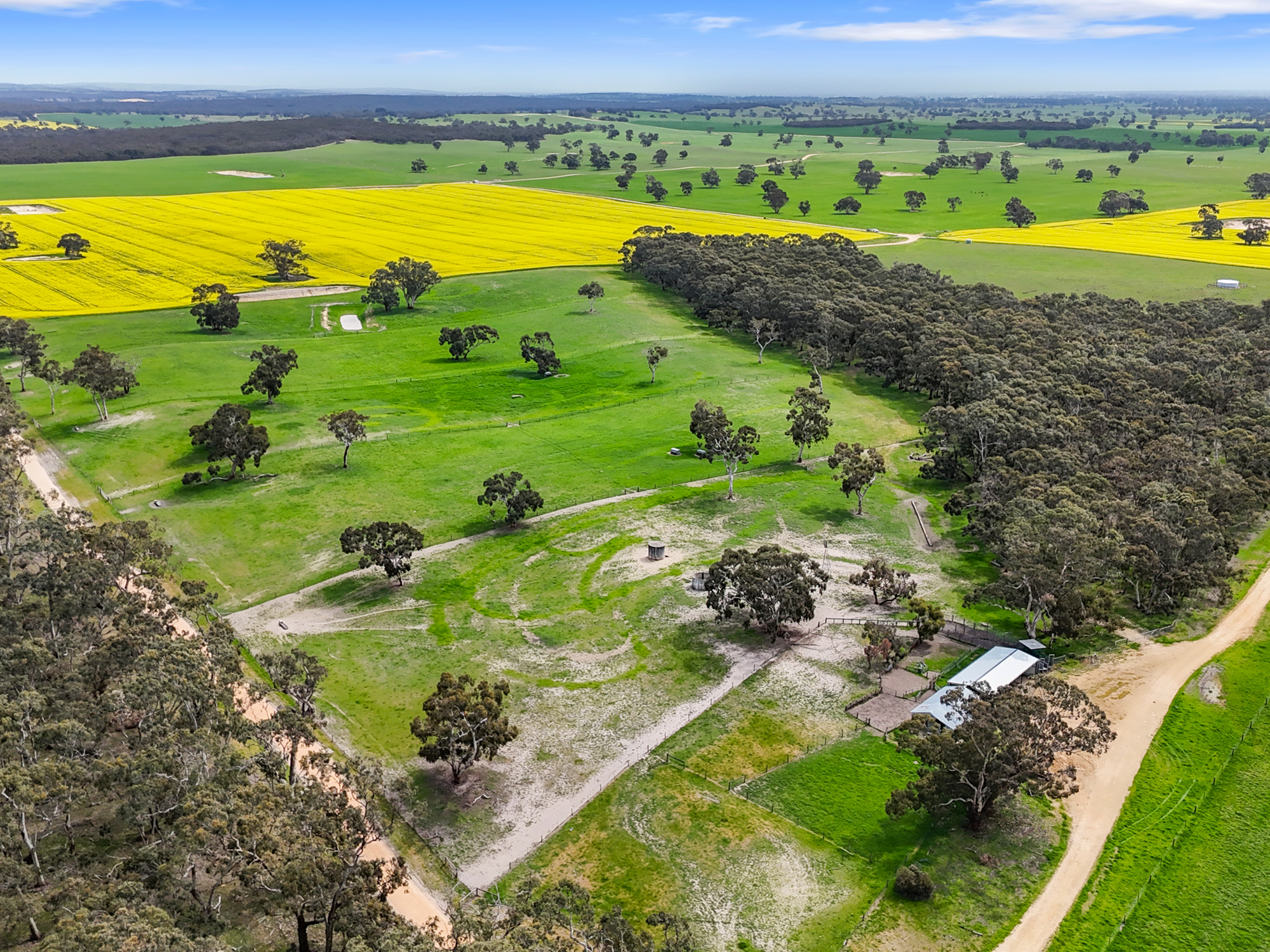 559 Old Stone Tank Road, Mundulla SA 5270