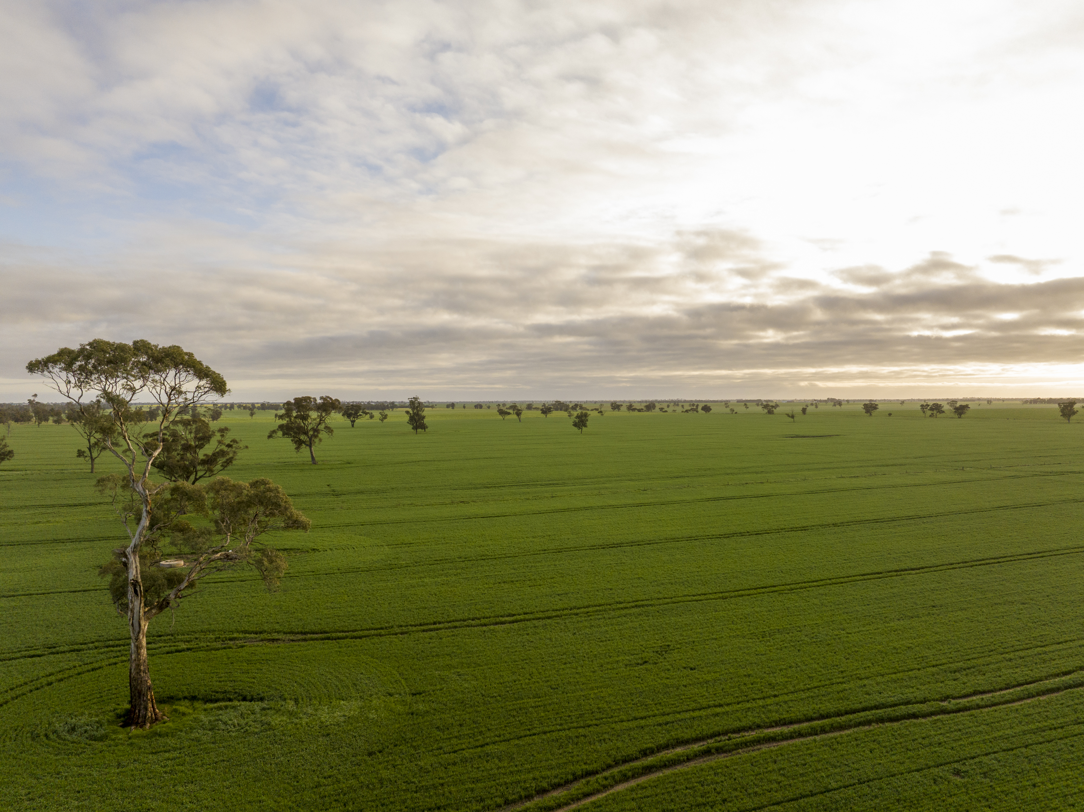 Lot 204 Custon Road, Bordertown SA 5268