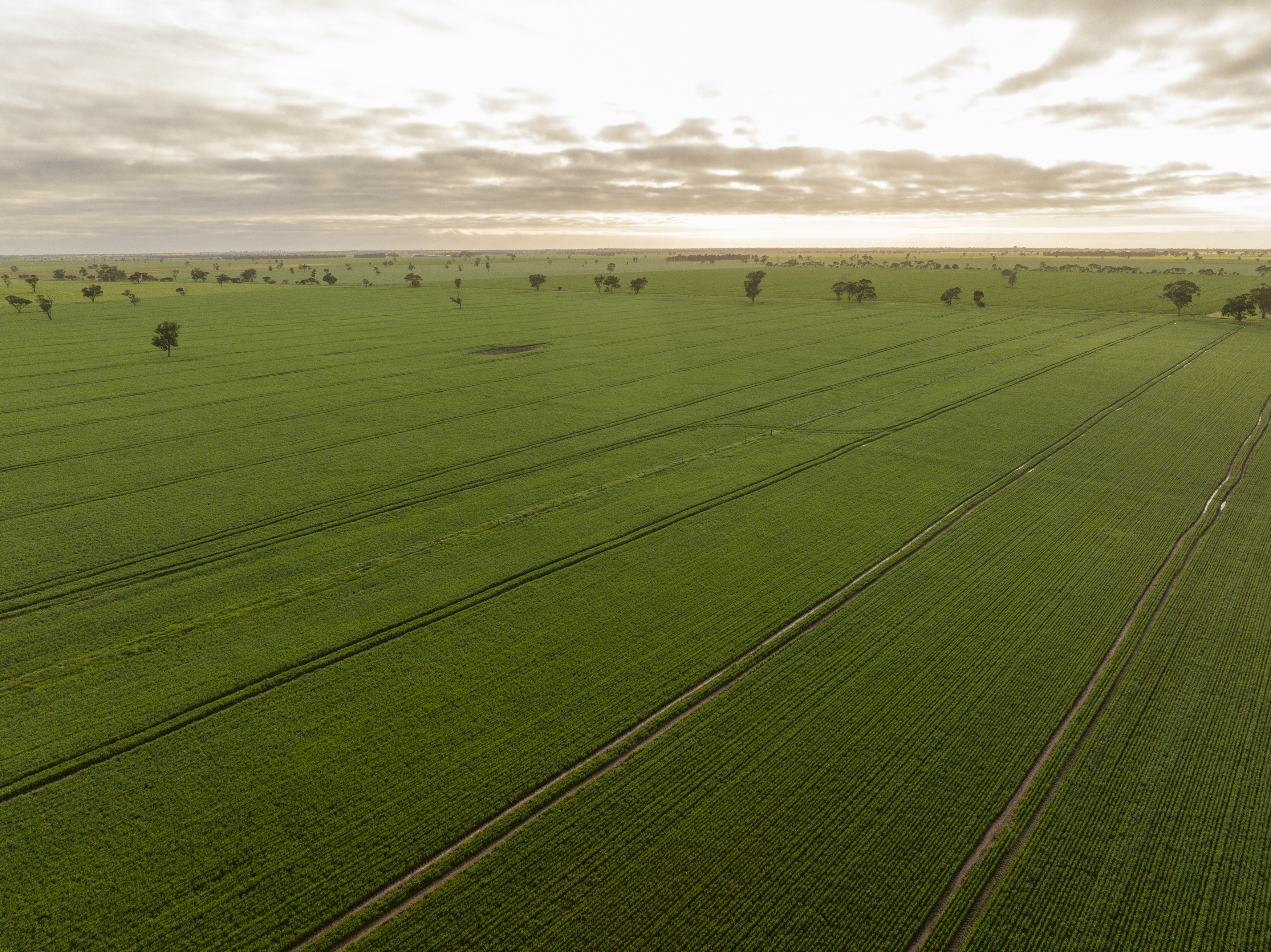 Lot 204 Custon Road, Bordertown SA 5268