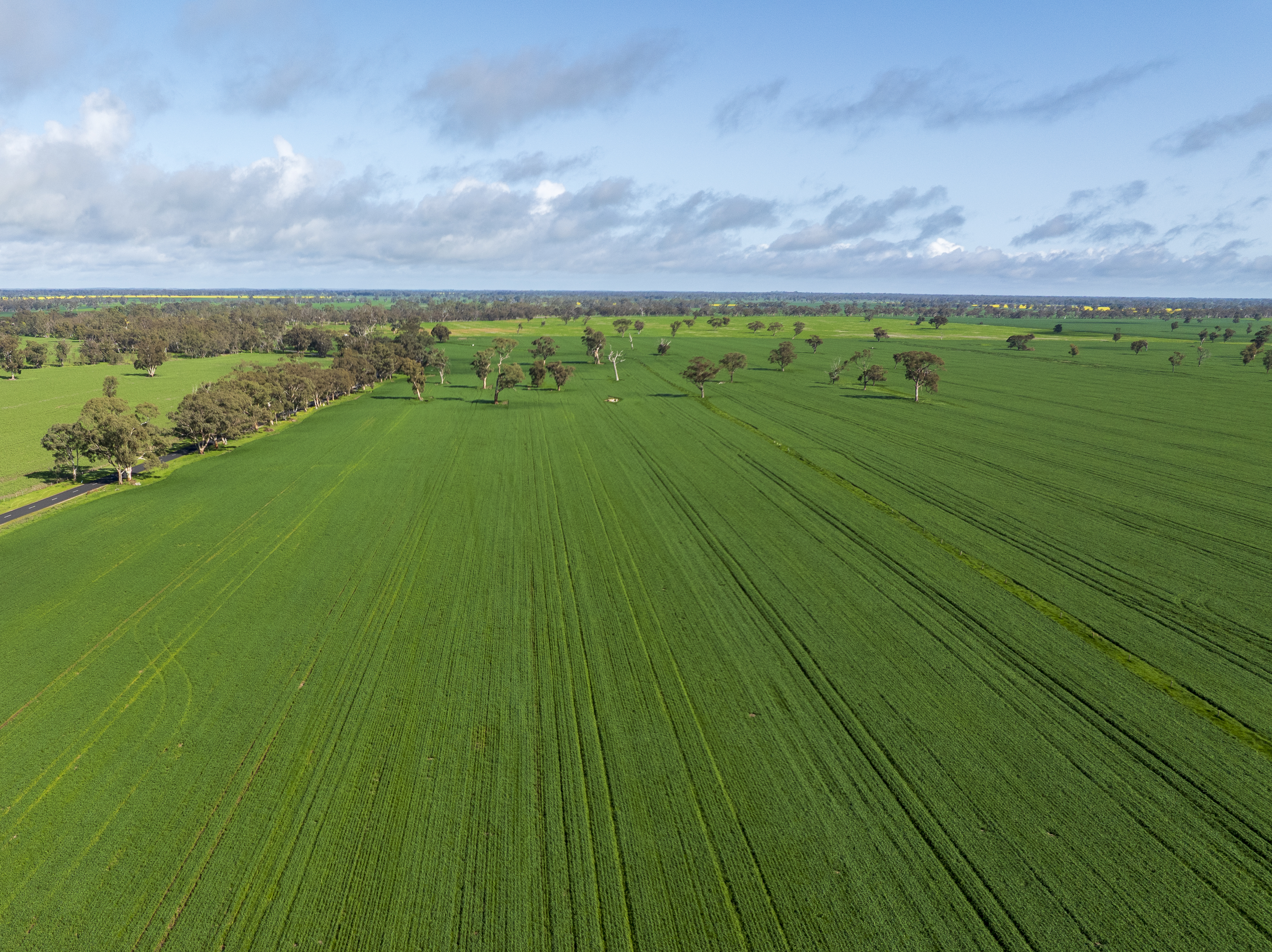 Lot 204 Custon Road, Bordertown SA 5268