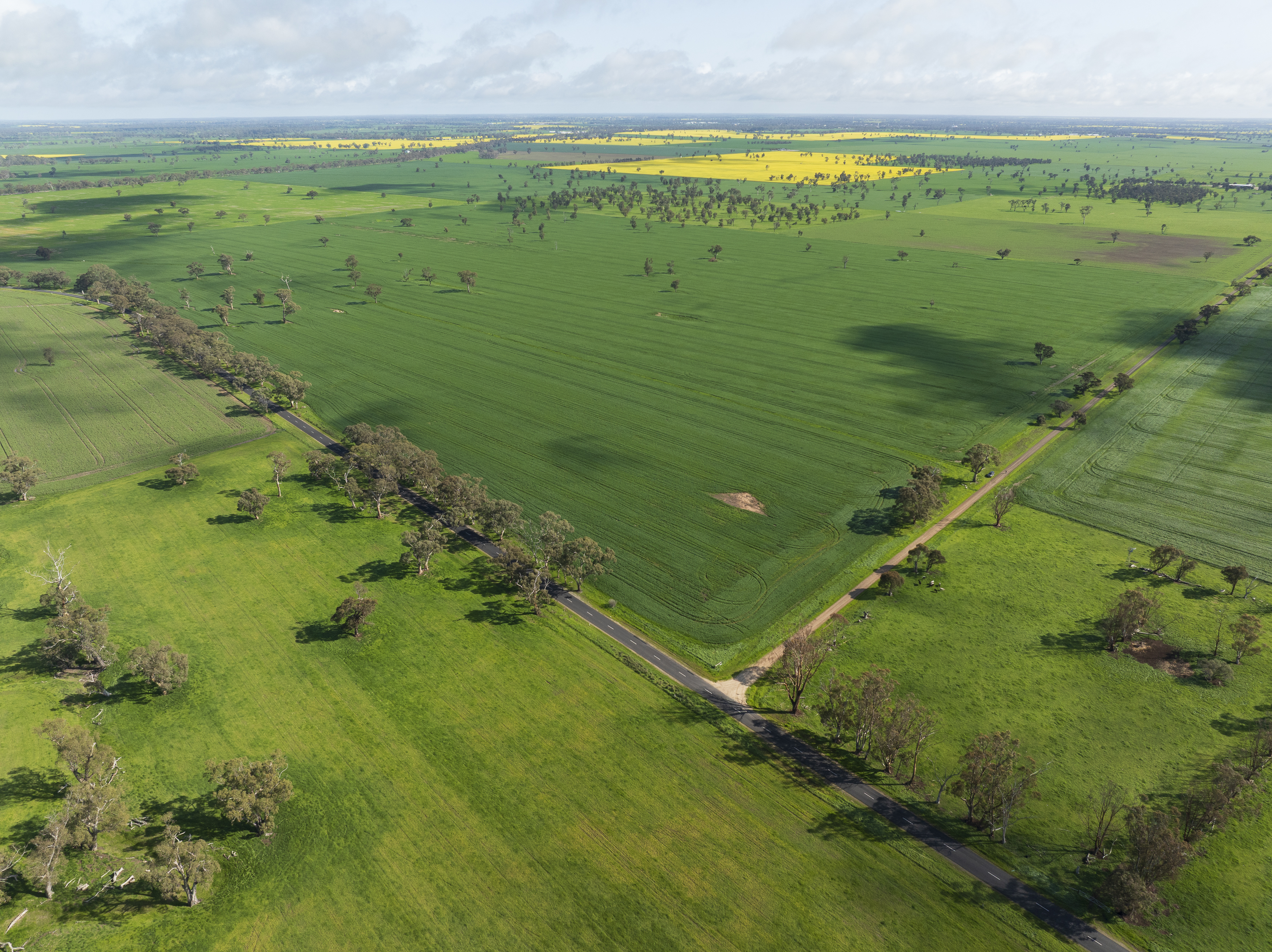 Lot 204 Custon Road, Bordertown SA 5268