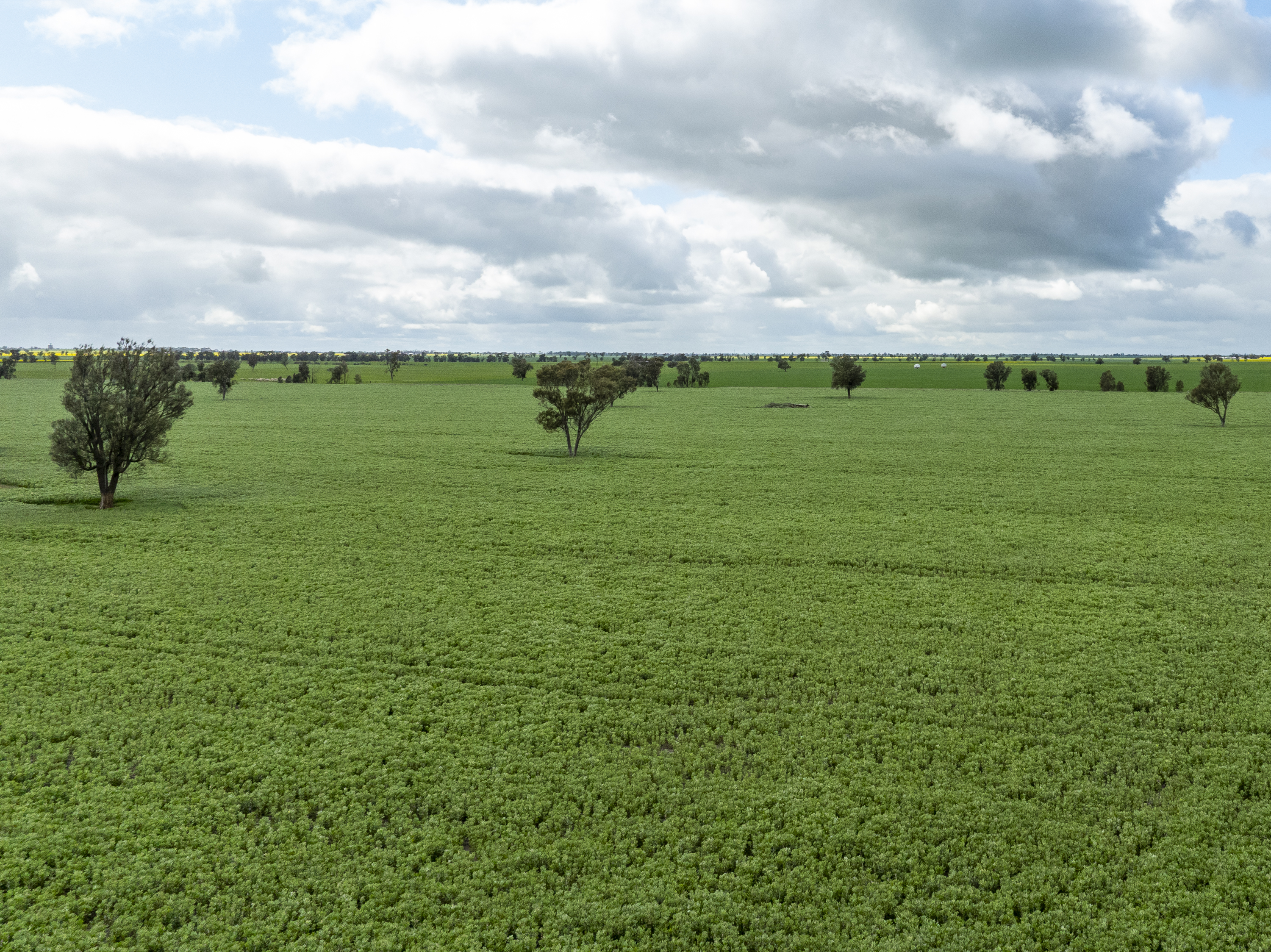 Lot 204 Custon Road, Bordertown SA 5268