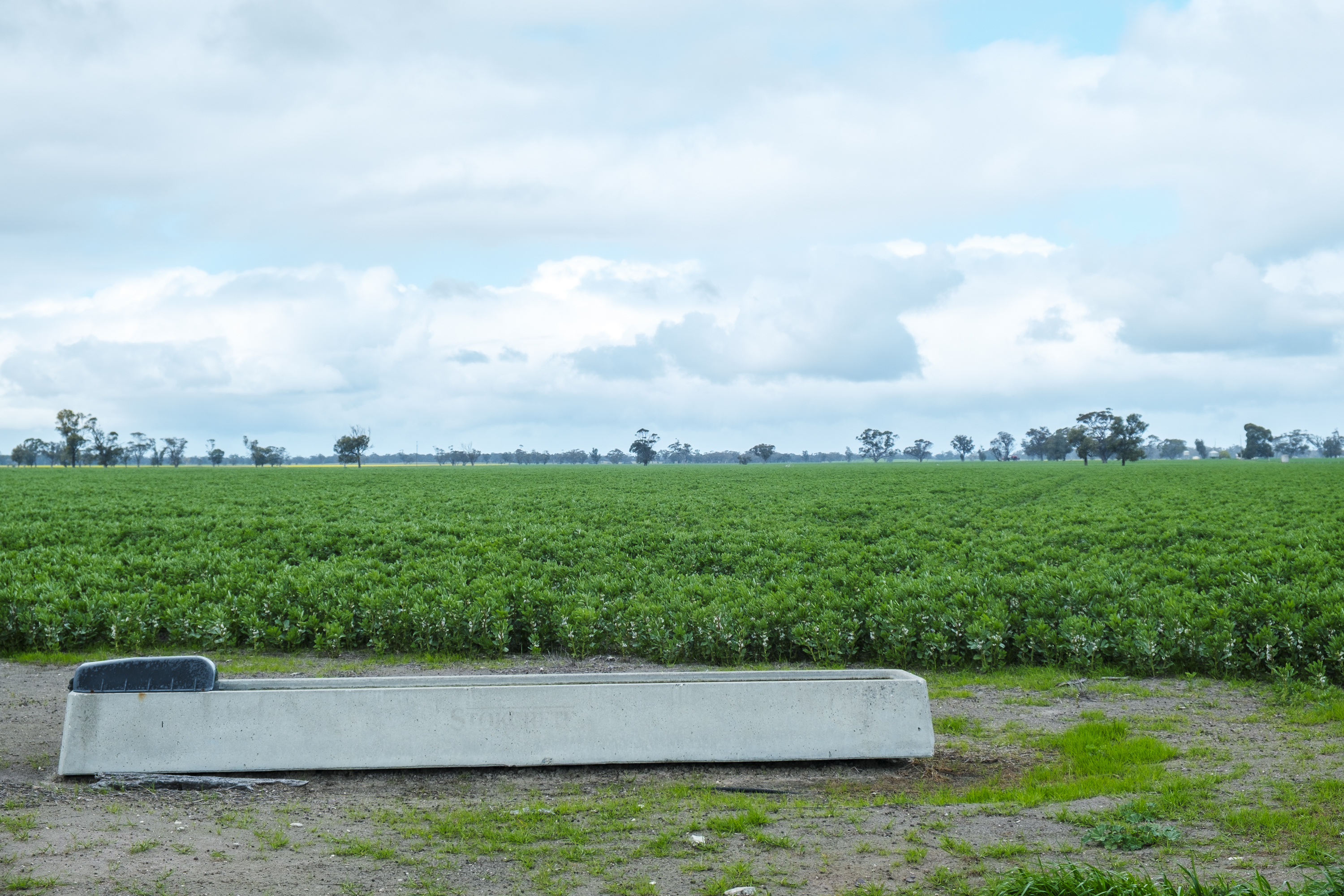 Lot 204 Custon Road, Bordertown SA 5268