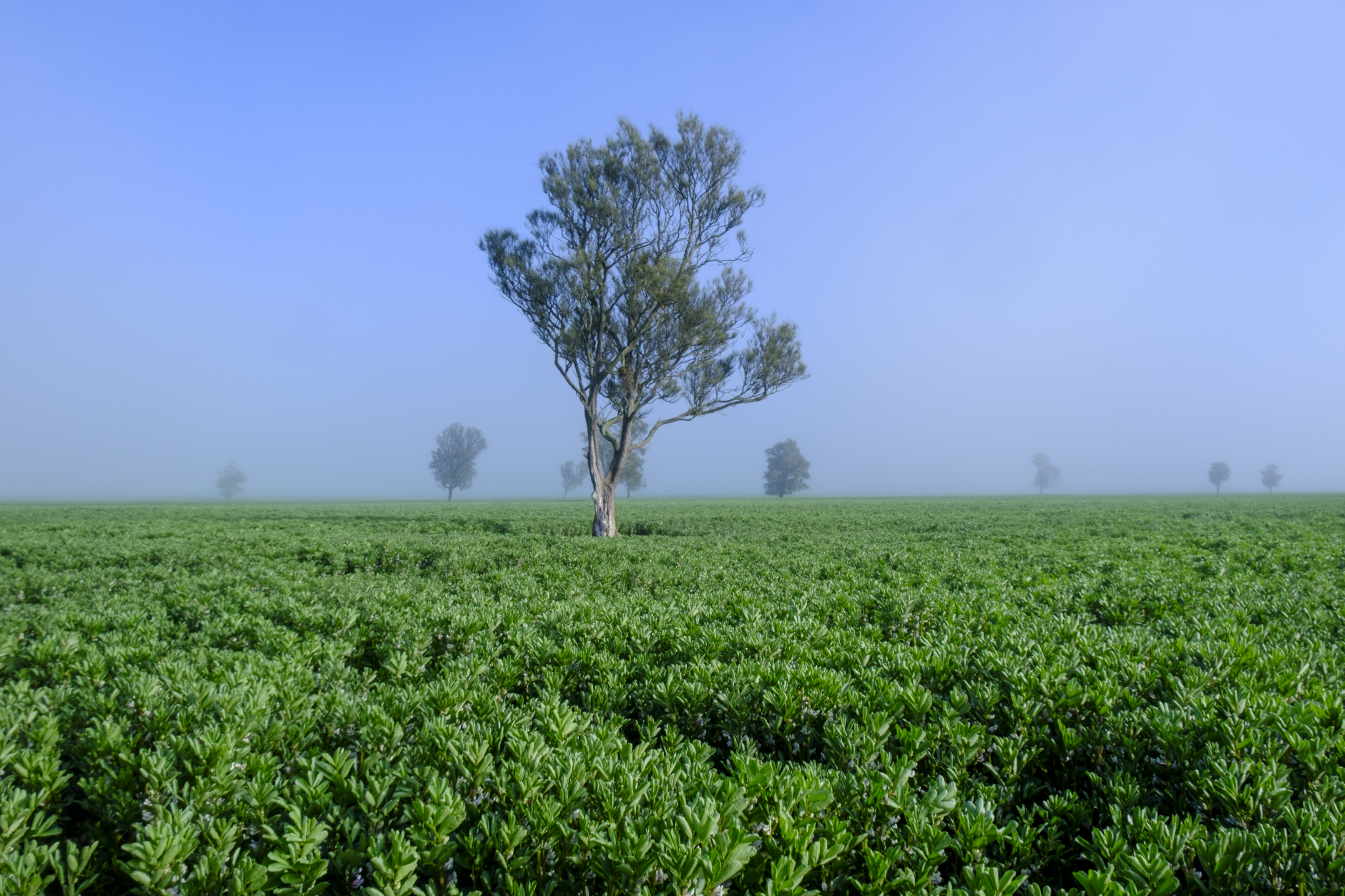 Lot 204 Custon Road, Bordertown SA 5268