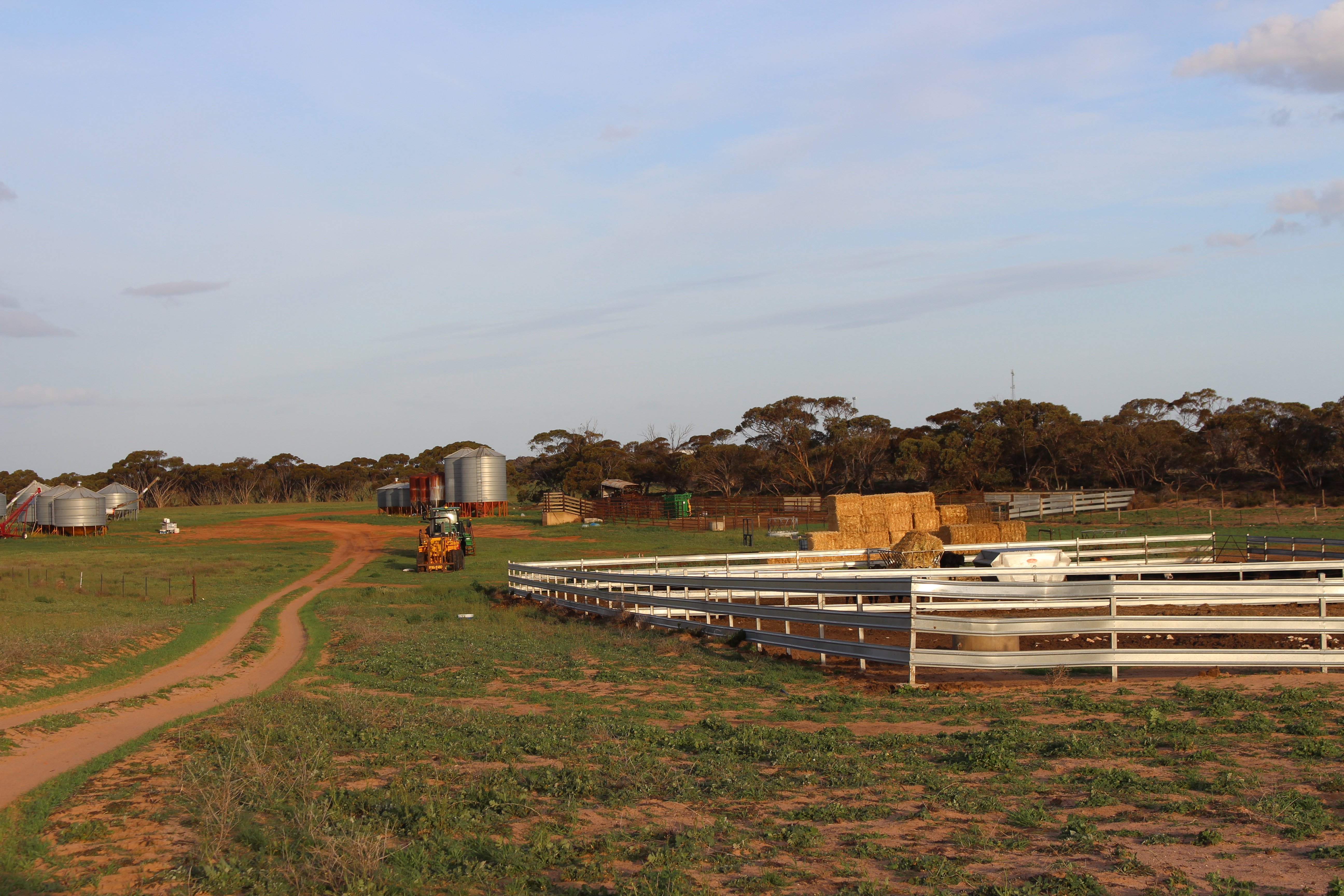 Allotment 92 Perponda Road, Karoonda SA 5307