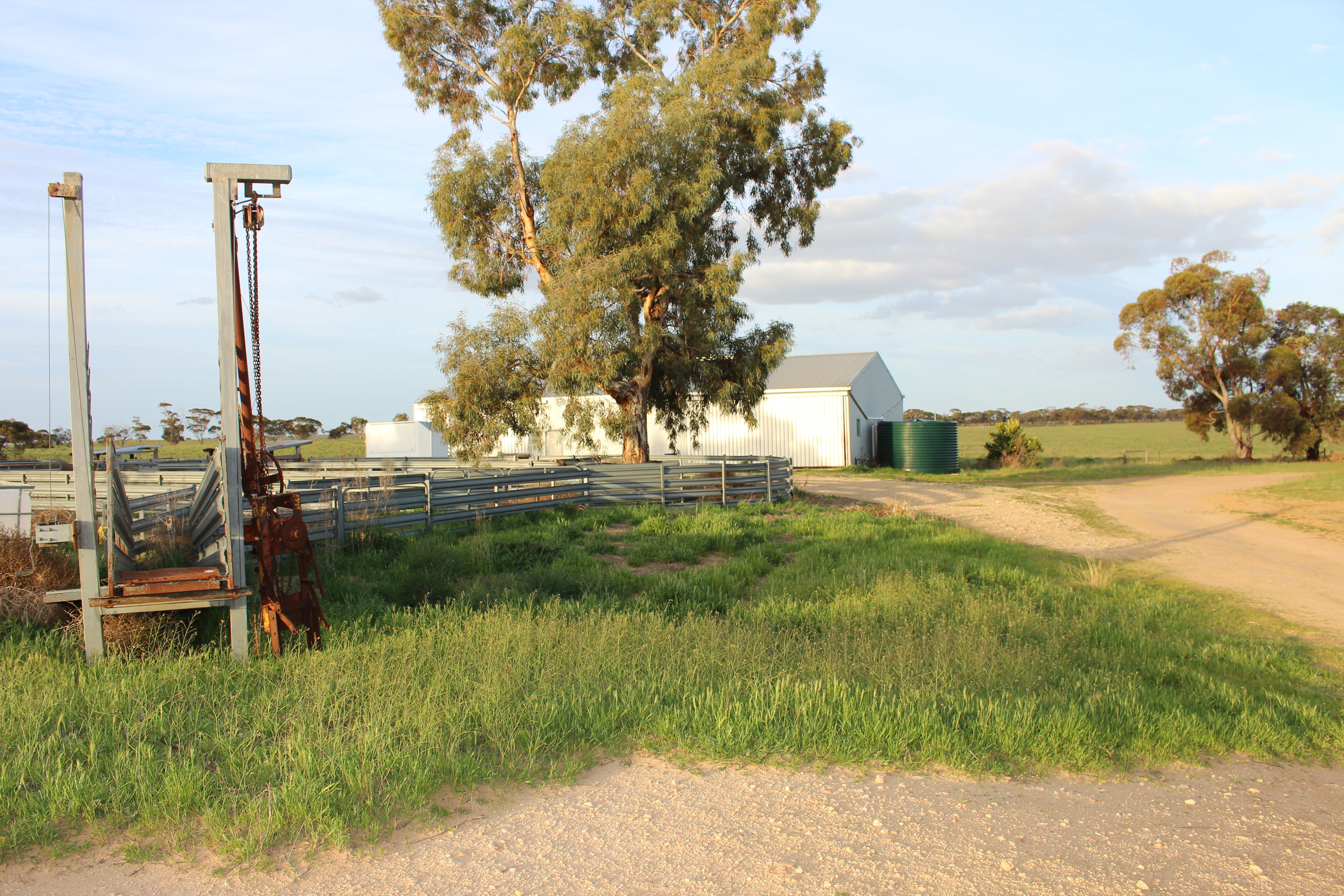 Allotment 92 Perponda Road, Karoonda SA 5307