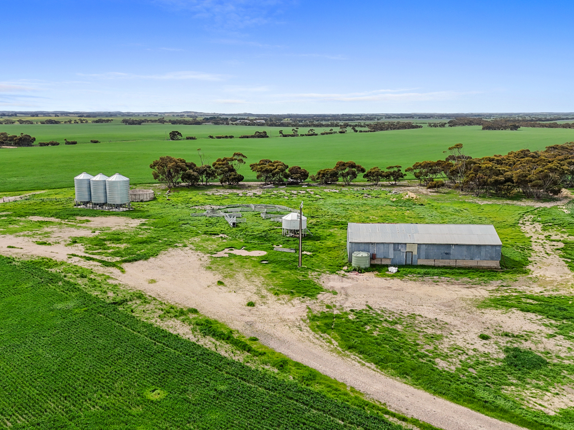 357 Roberts Road, Coonalpyn SA 5265