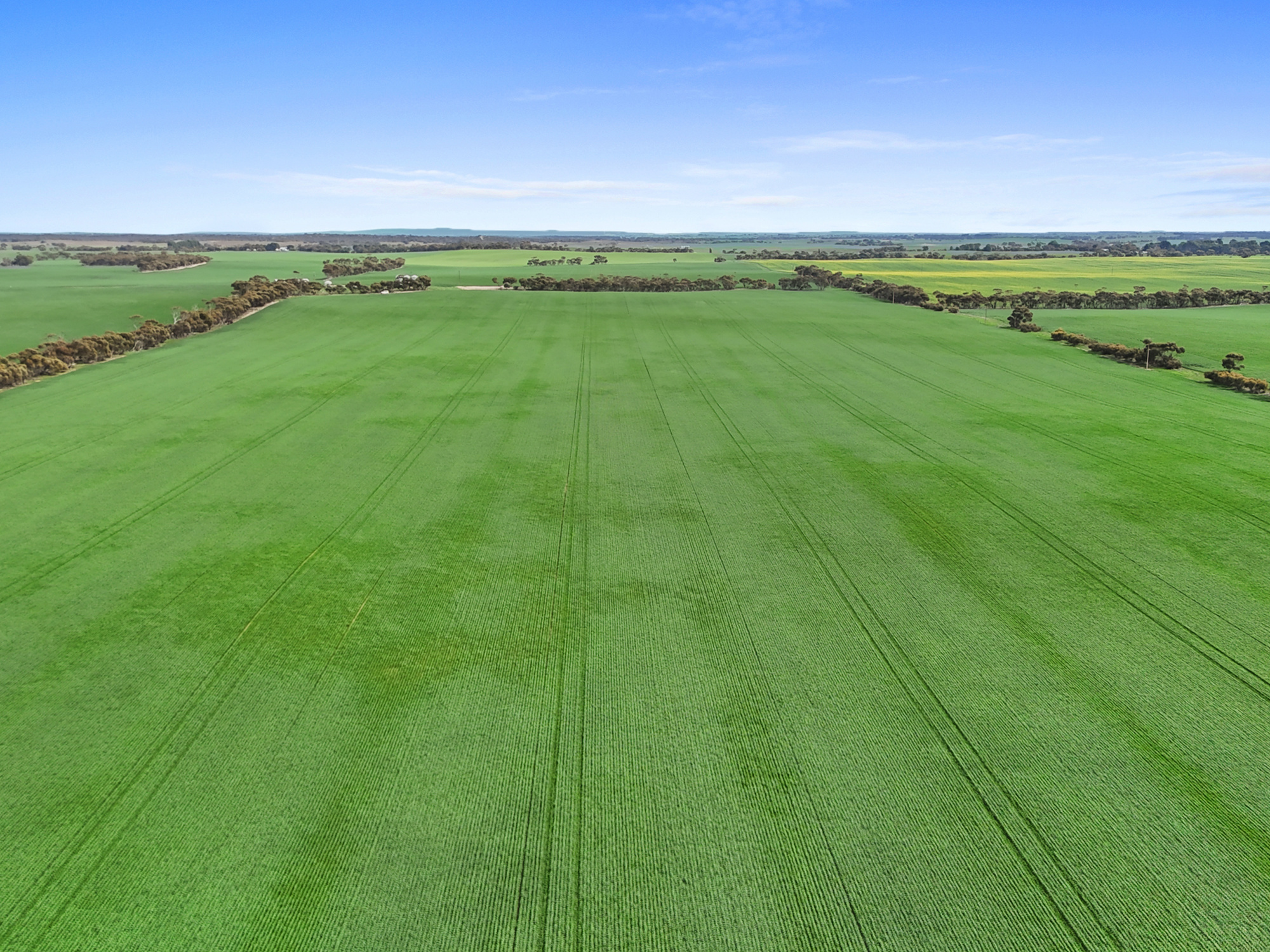 357 Roberts Road, Coonalpyn SA 5265