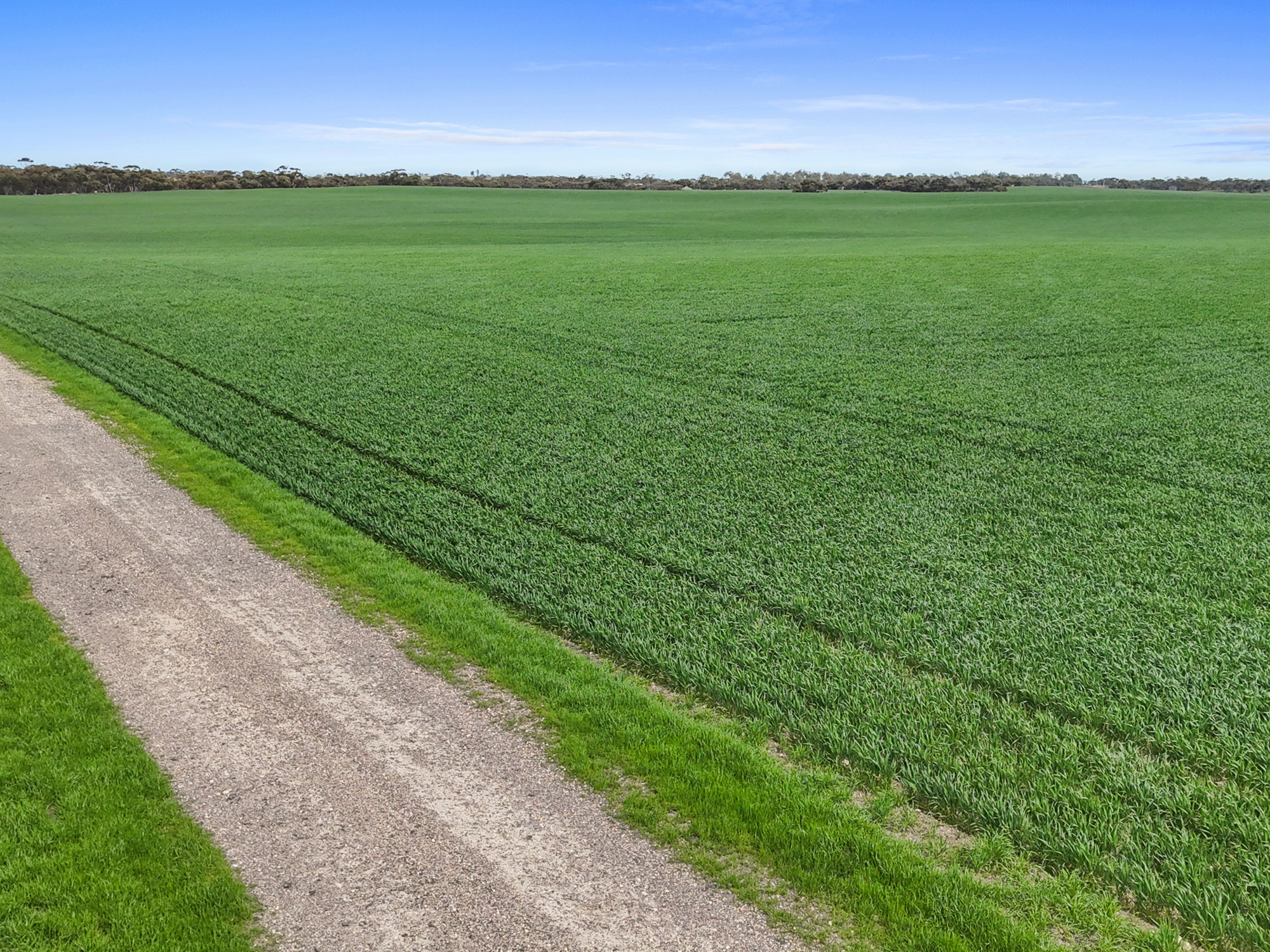 357 Roberts Road, Coonalpyn SA 5265