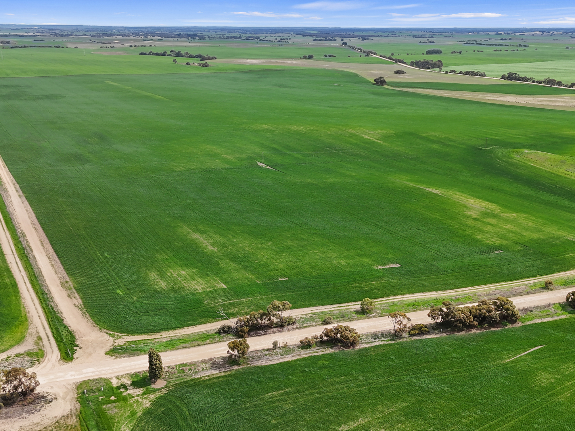 357 Roberts Road, Coonalpyn SA 5265