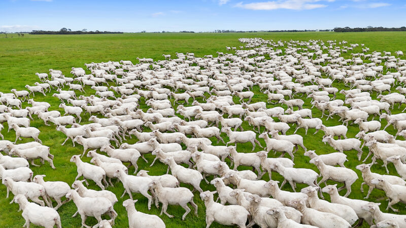 1412 Red Bluff Road, Bordertown SA 5268