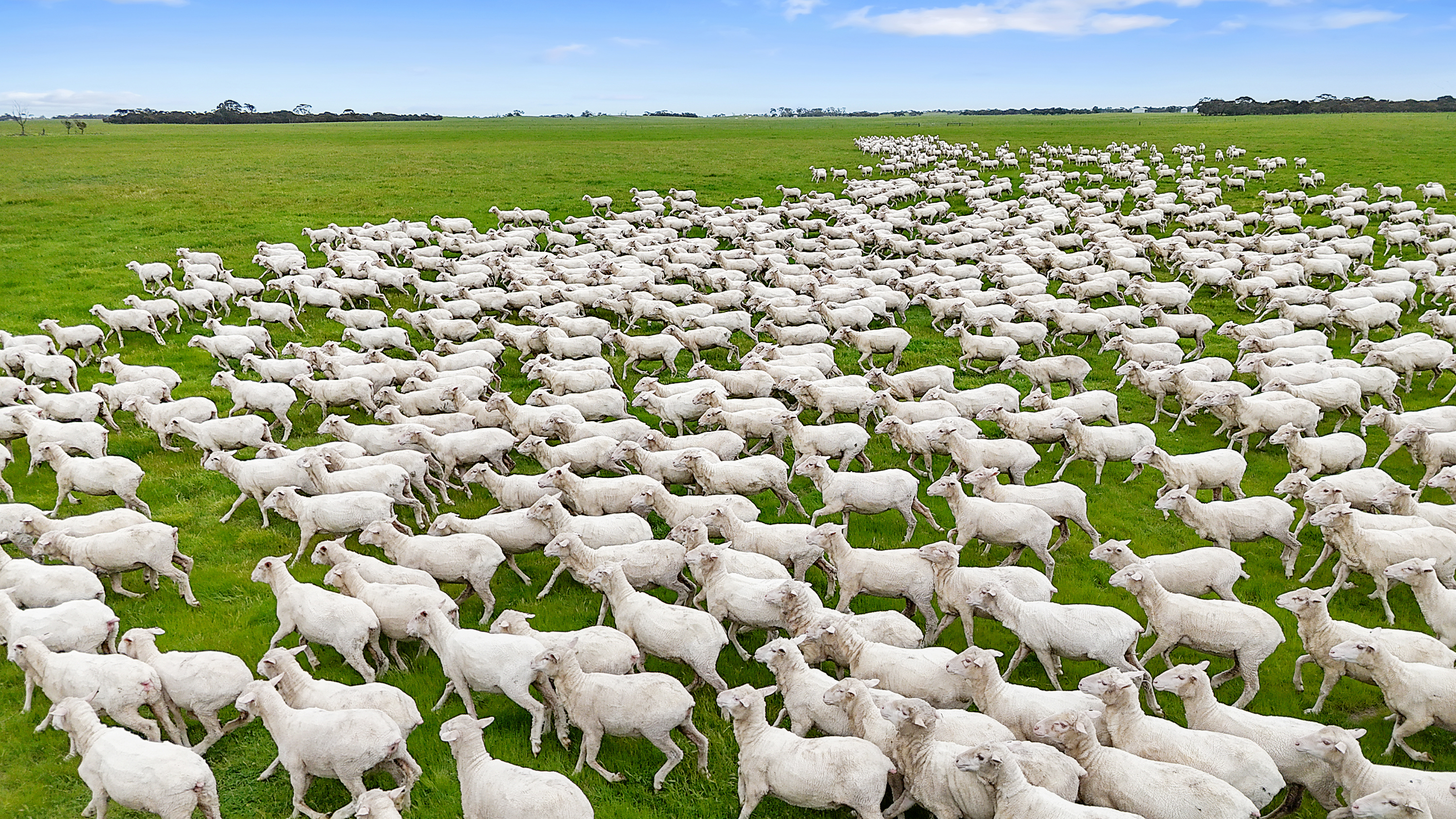 1412 Red Bluff Road, Bordertown SA 5268