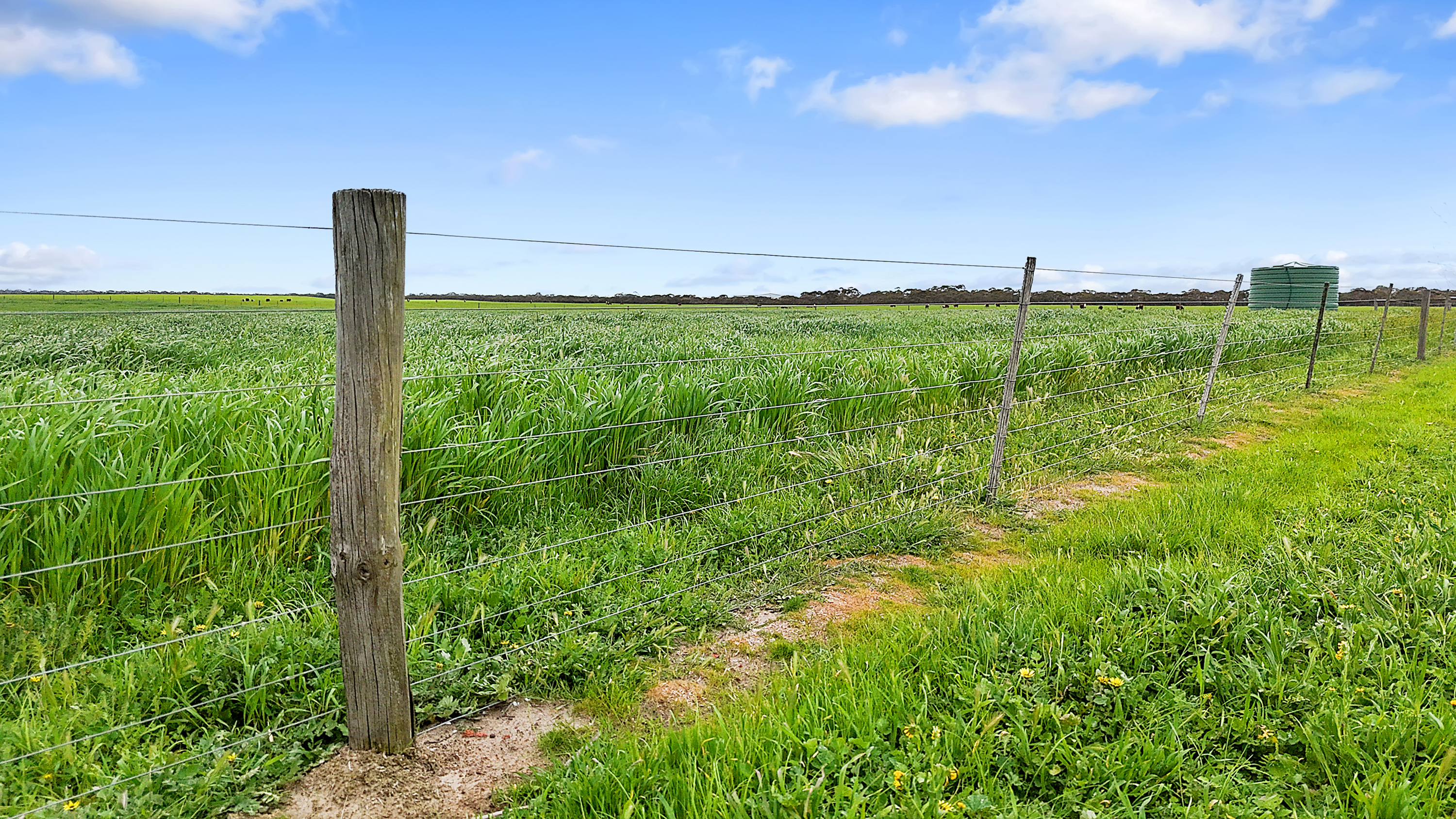 1412 Red Bluff Road, Bordertown SA 5268