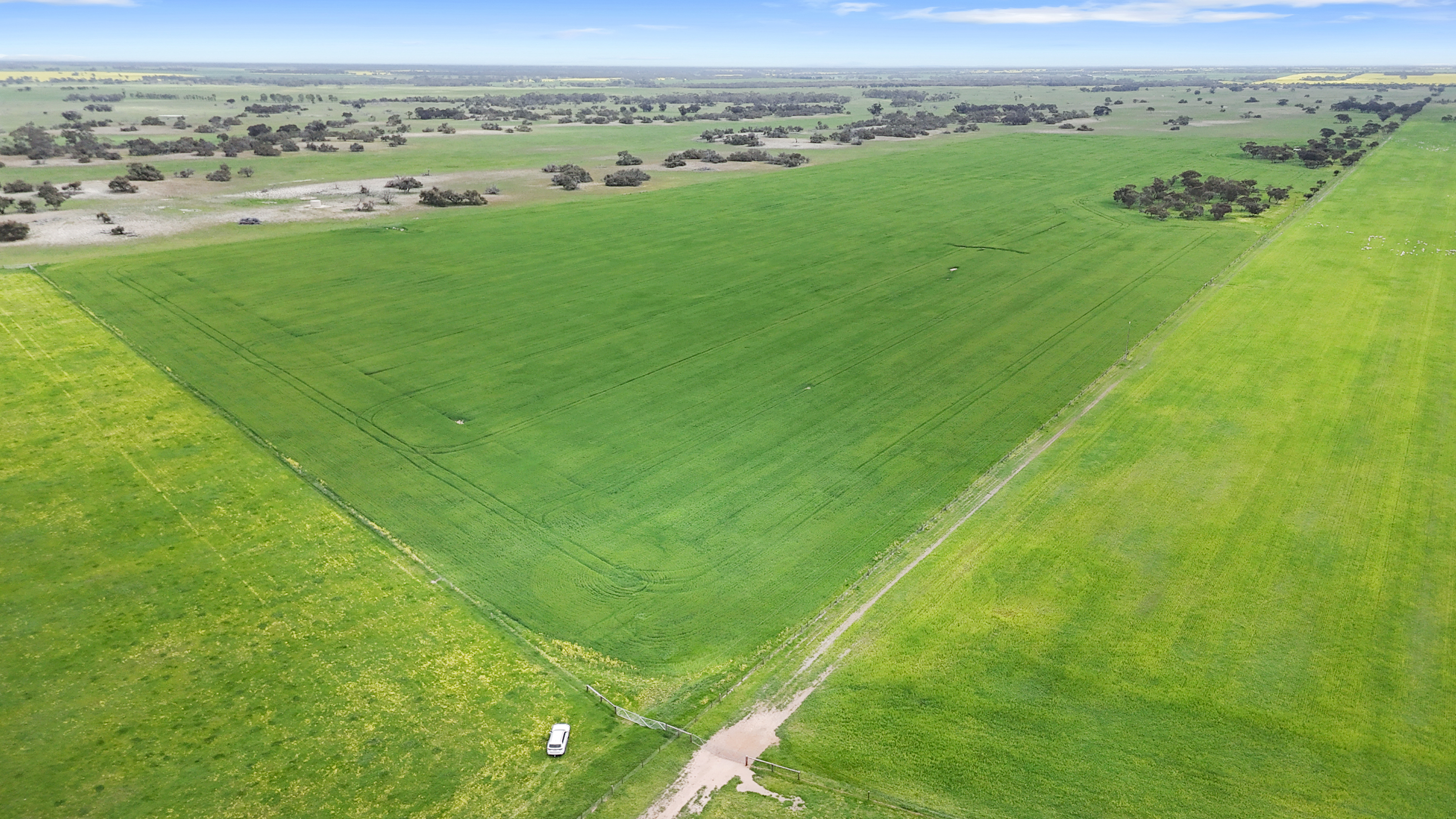 1412 Red Bluff Road, Bordertown SA 5268