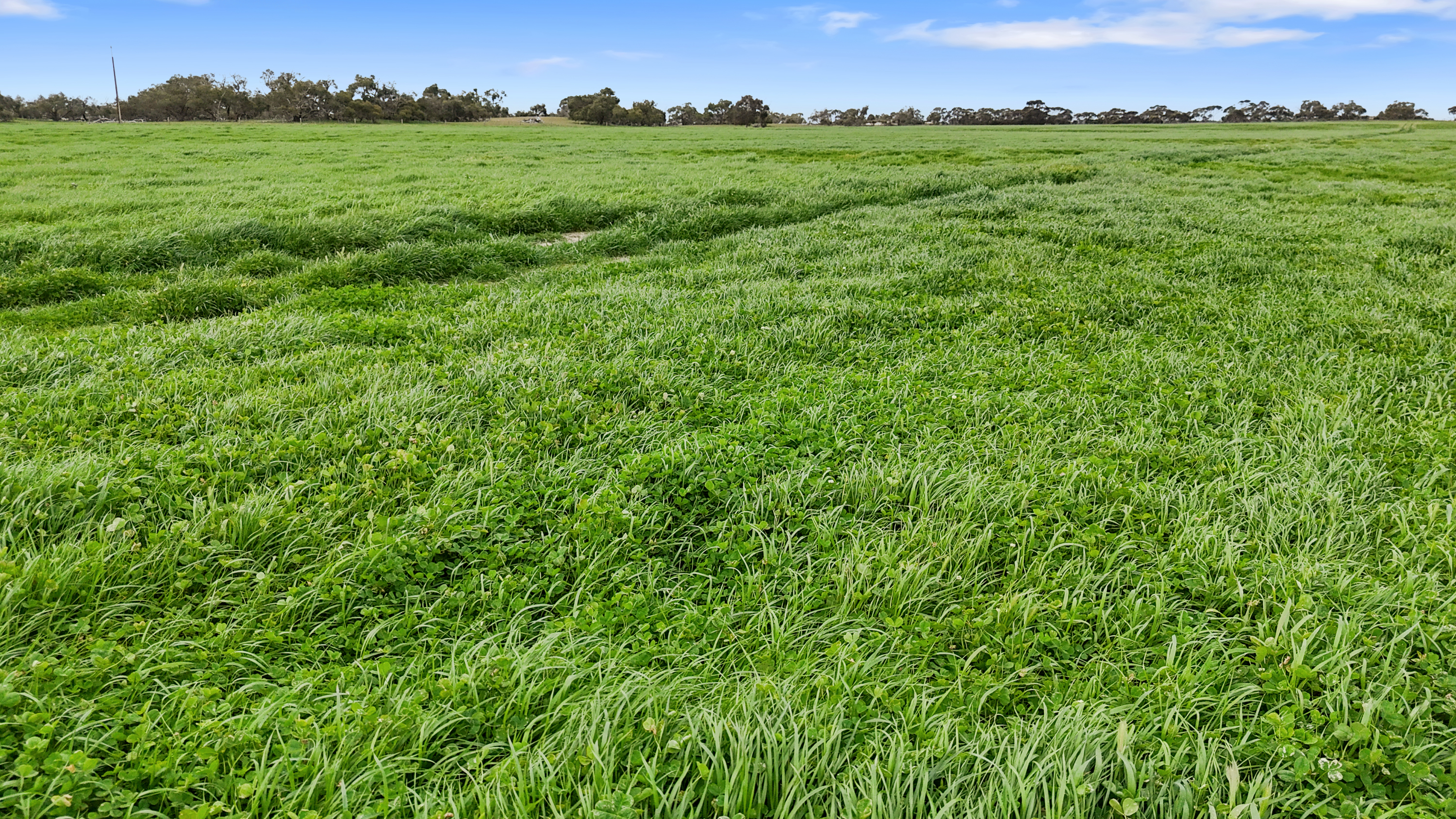 1412 Red Bluff Road, Bordertown SA 5268