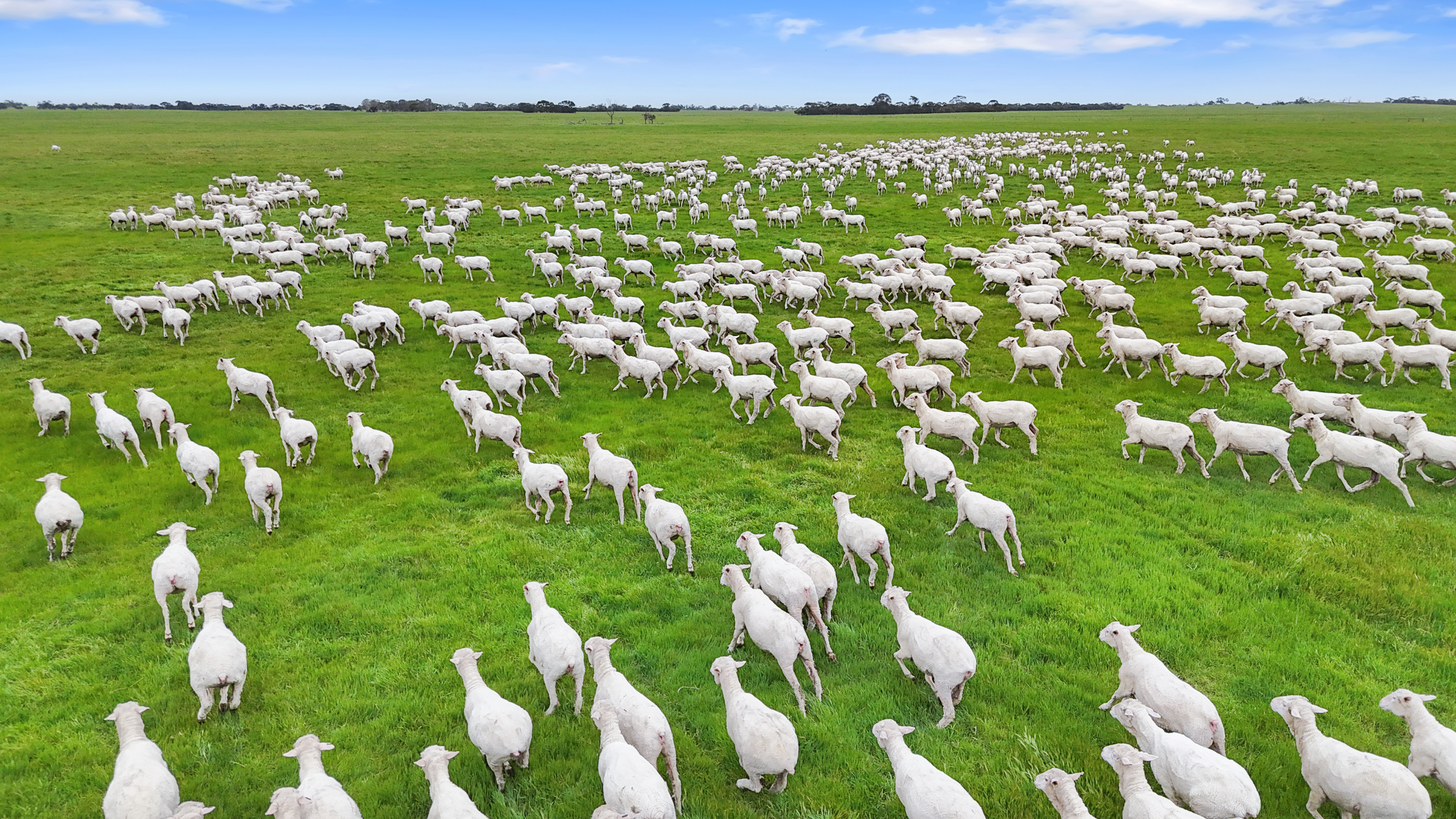 1412 Red Bluff Road, Bordertown SA 5268