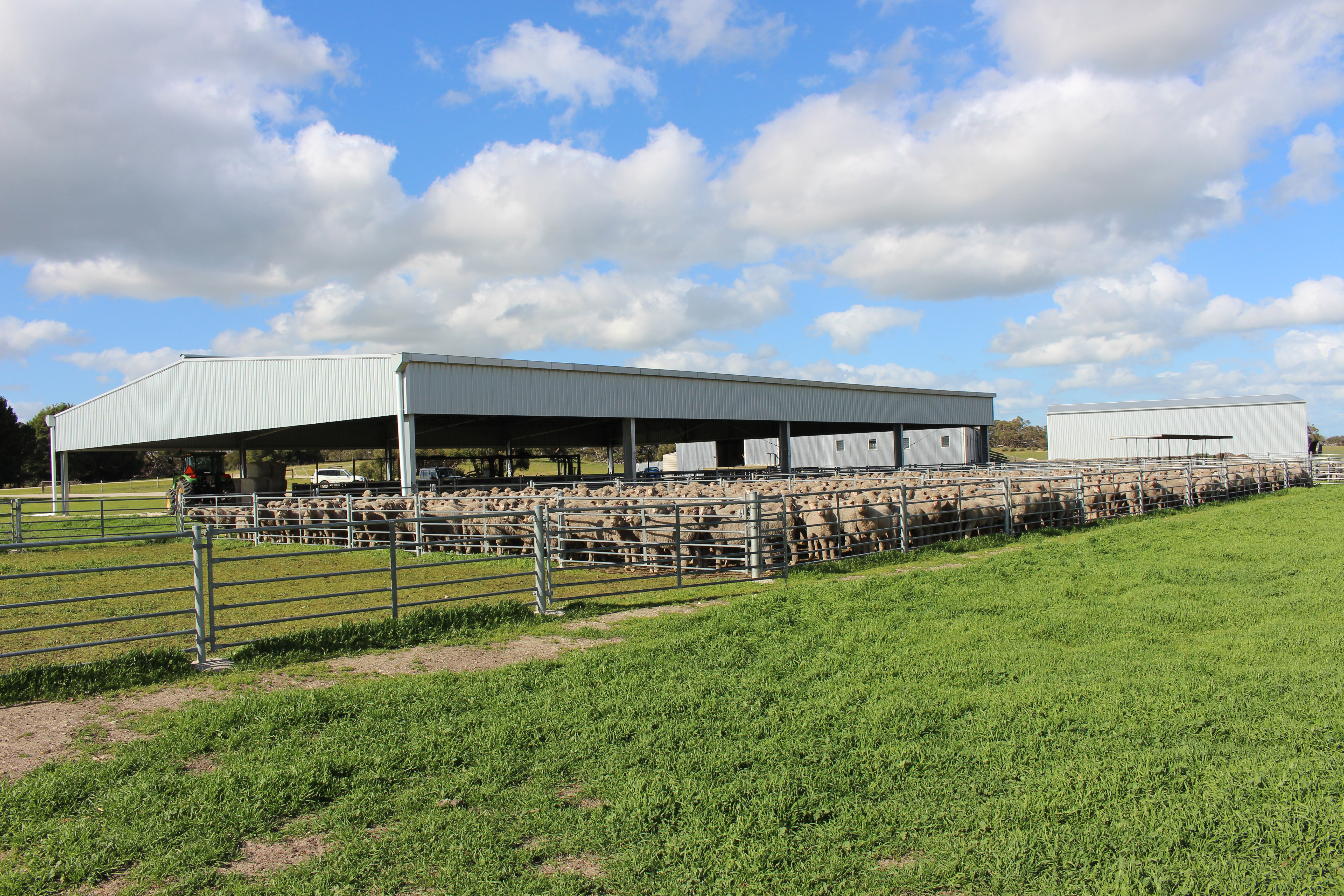 1412 Red Bluff Road, Bordertown SA 5268