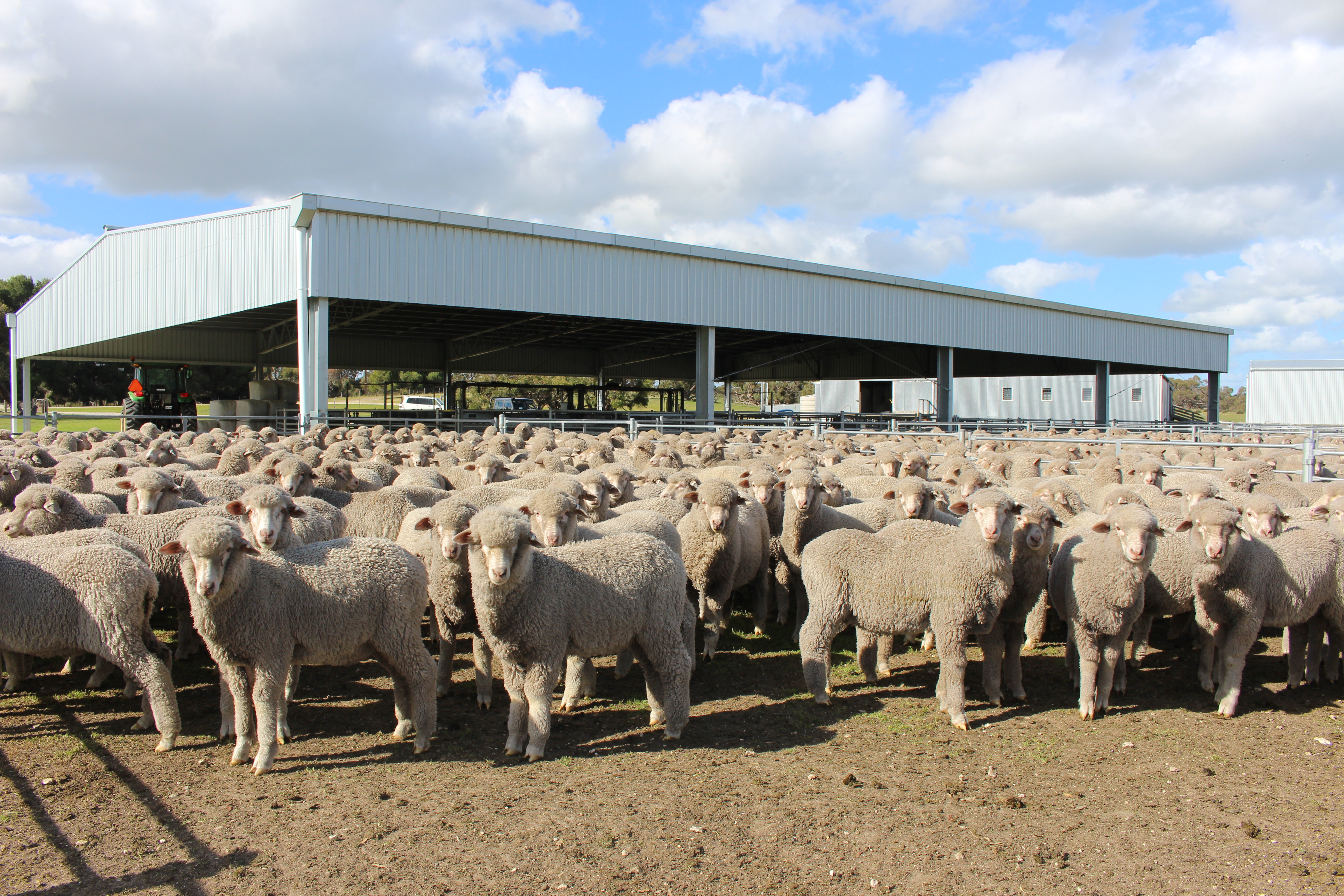 1412 Red Bluff Road, Bordertown SA 5268