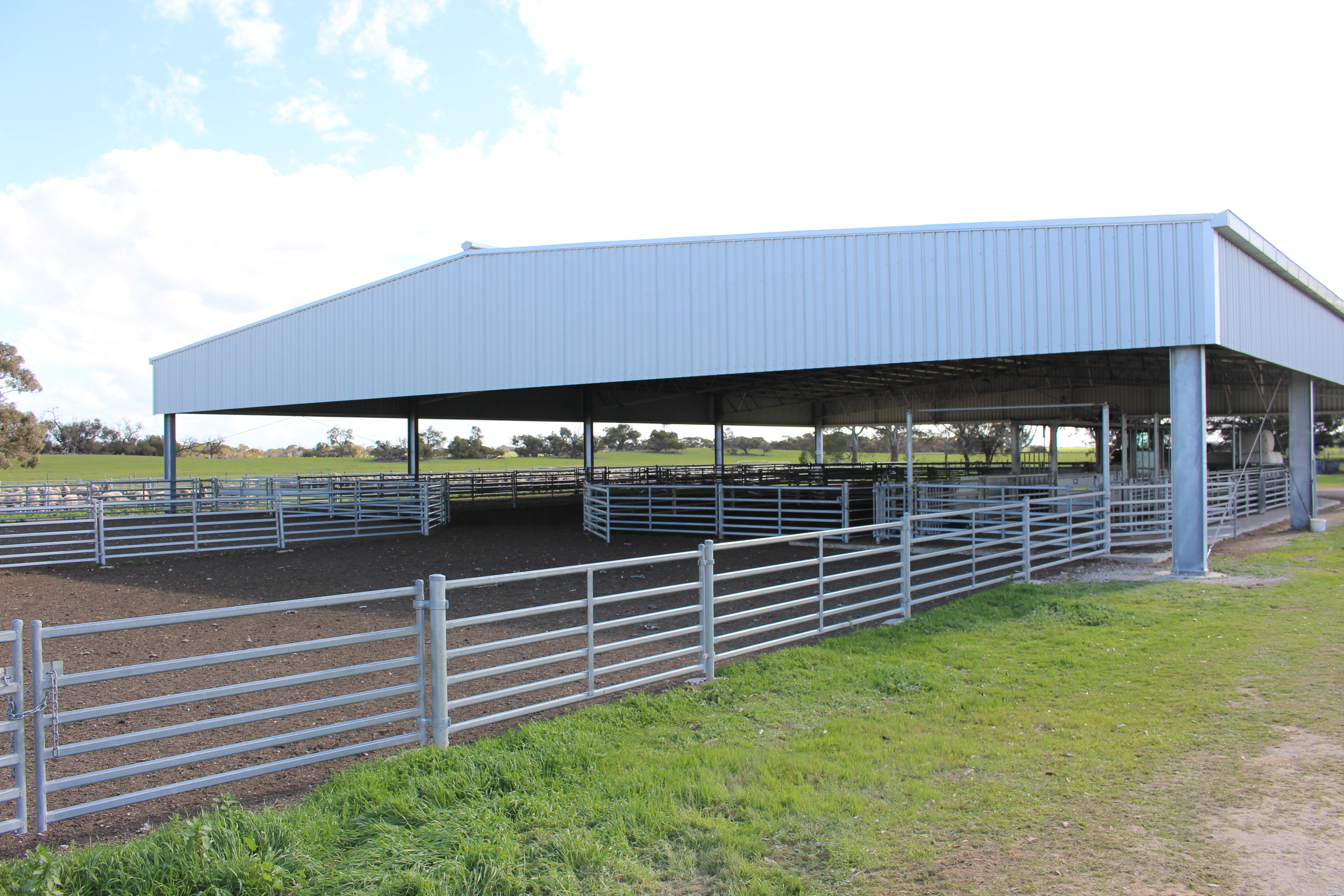 1412 Red Bluff Road, Bordertown SA 5268