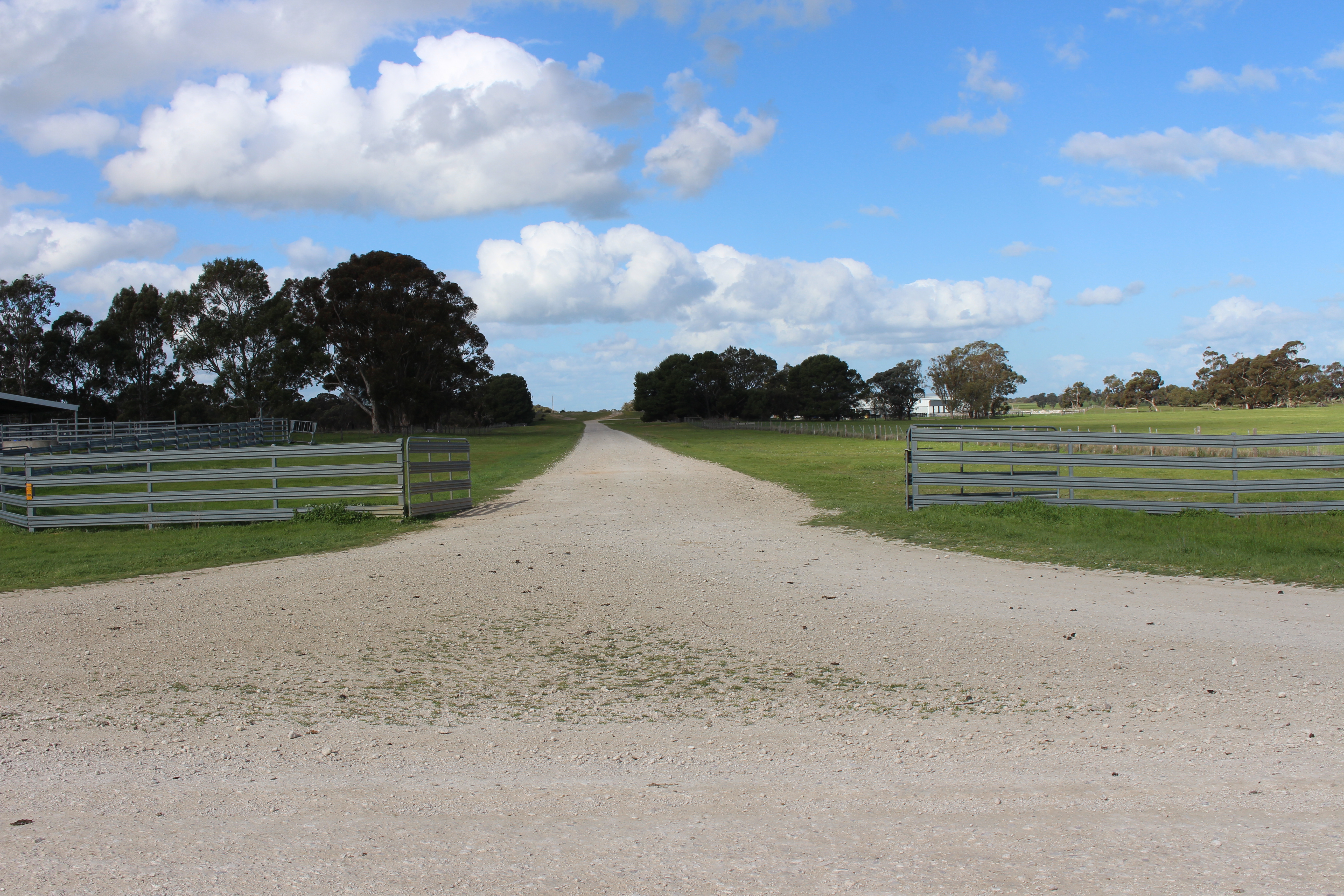 1412 Red Bluff Road, Bordertown SA 5268