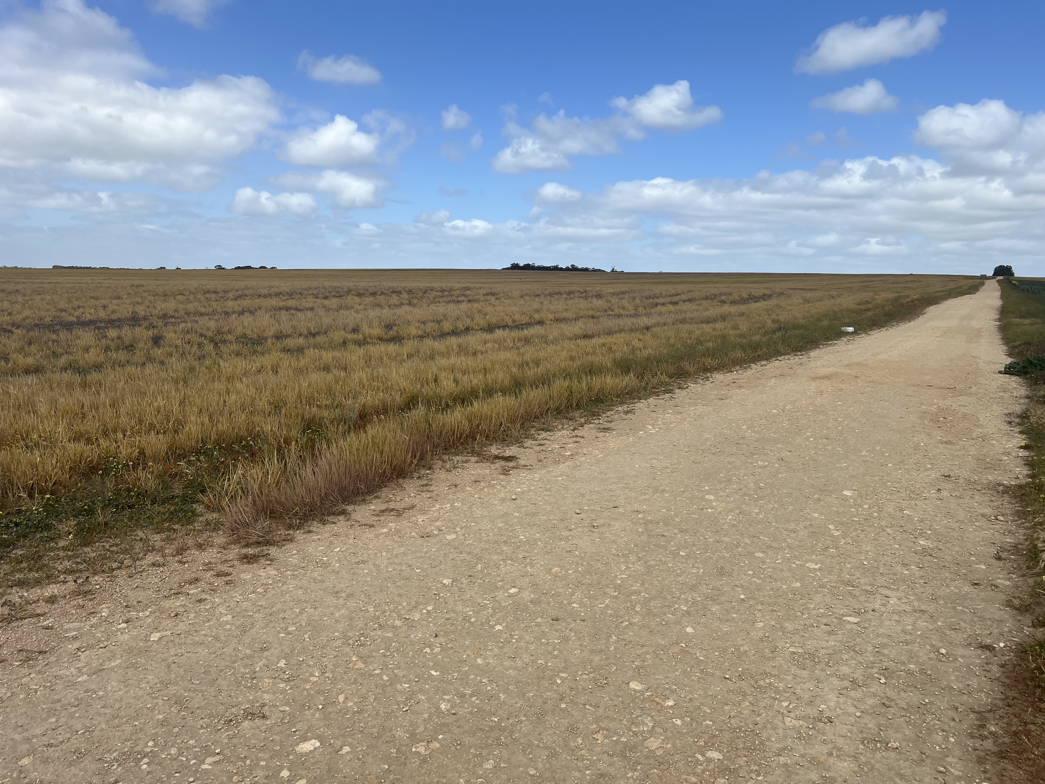 162 Pope Road, Karoonda SA 5307