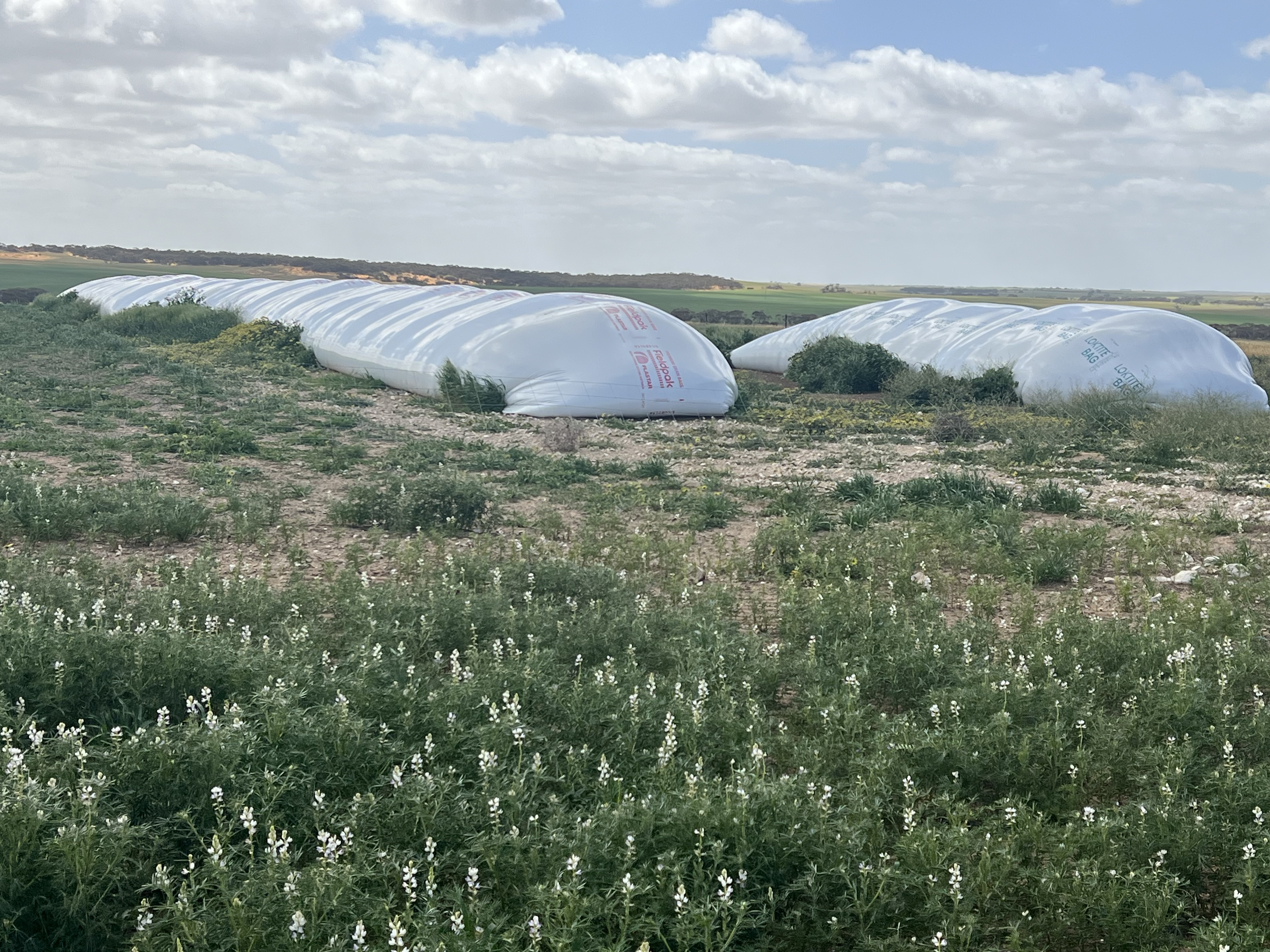 162 Pope Road, Karoonda SA 5307