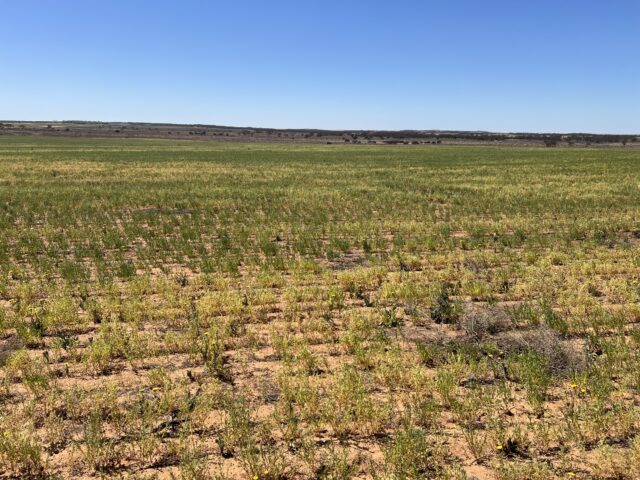 752 Greenways Road, Nildottie SA 5238