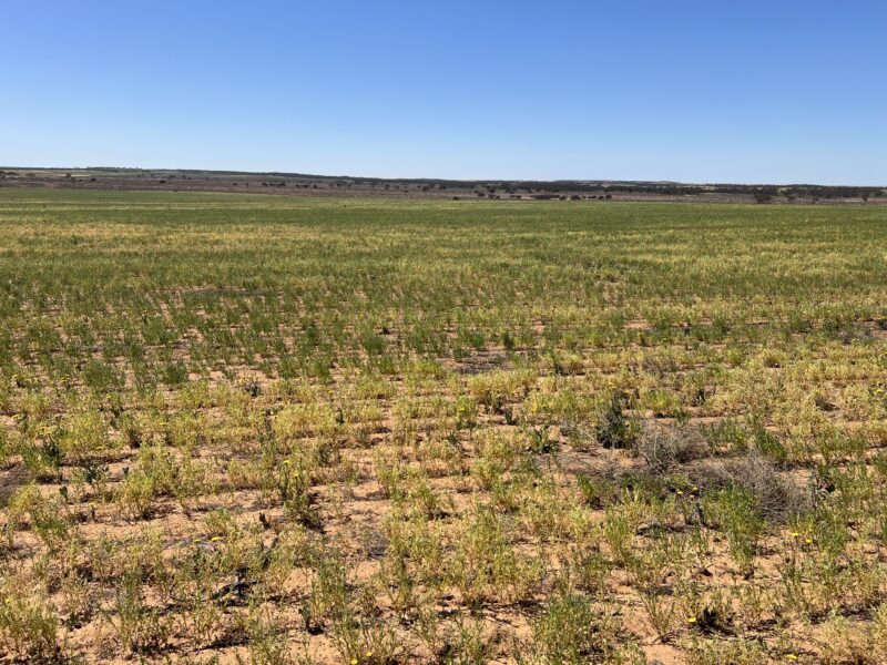 752 Greenways Road, Nildottie SA 5238