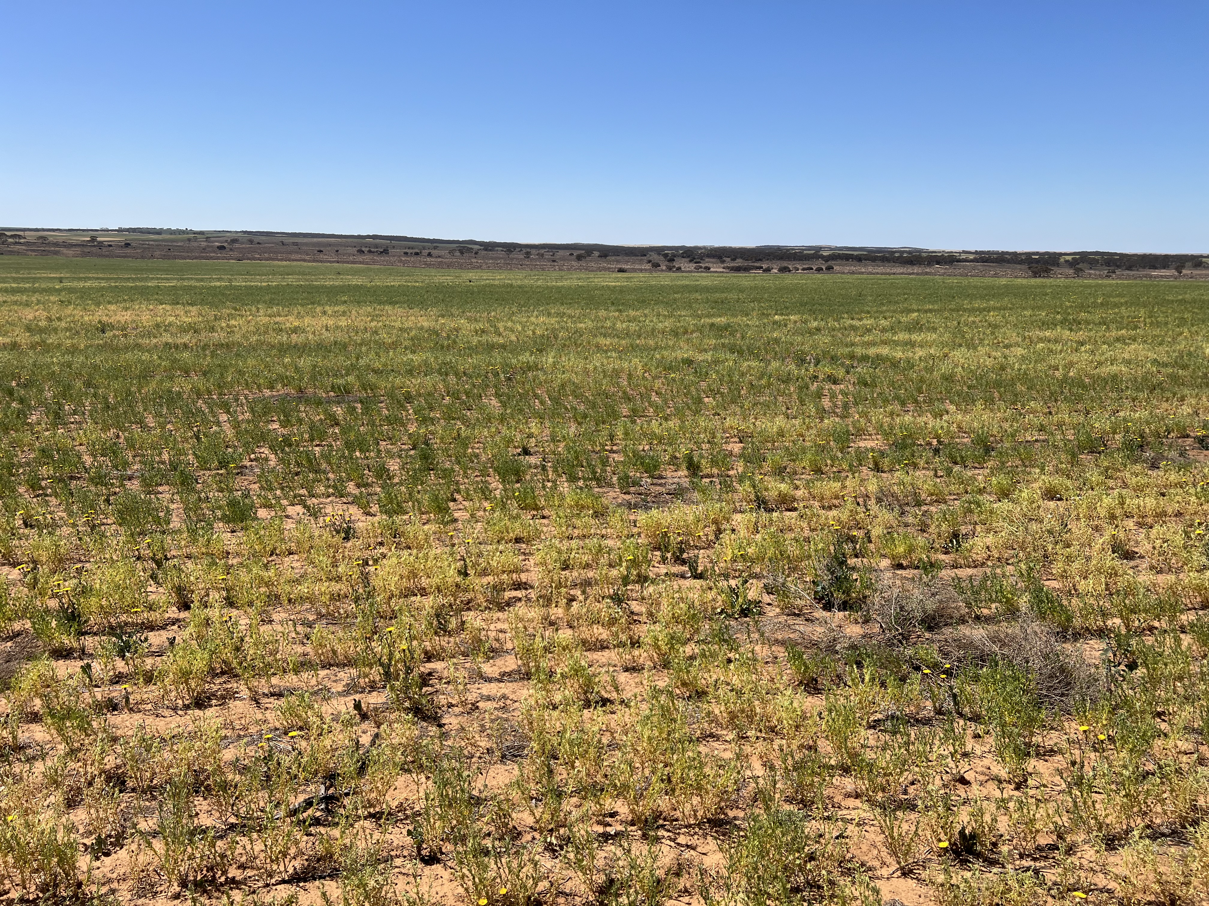 752 Greenways Road, Nildottie SA 5238