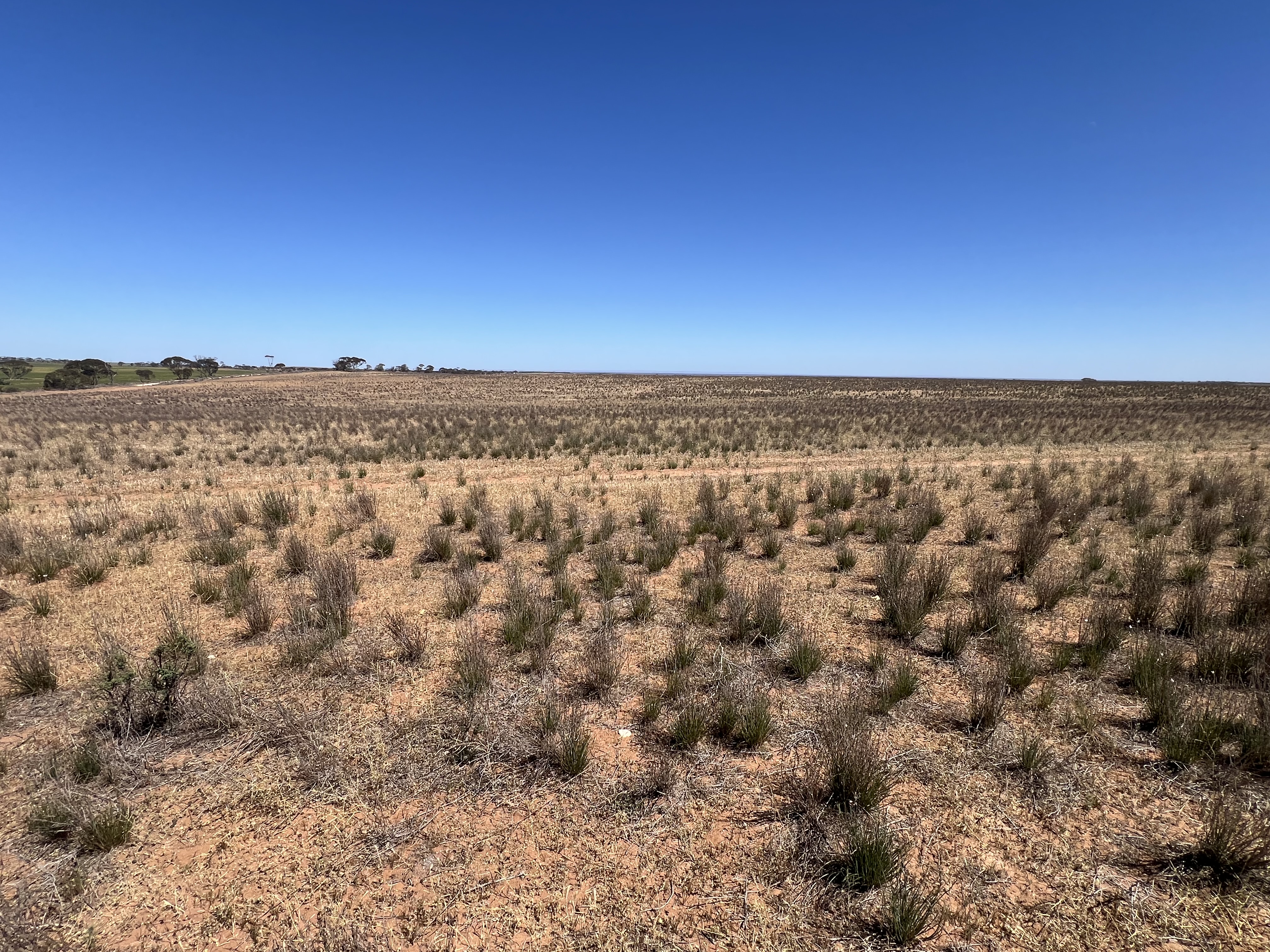 752 Greenways Road, Nildottie SA 5238