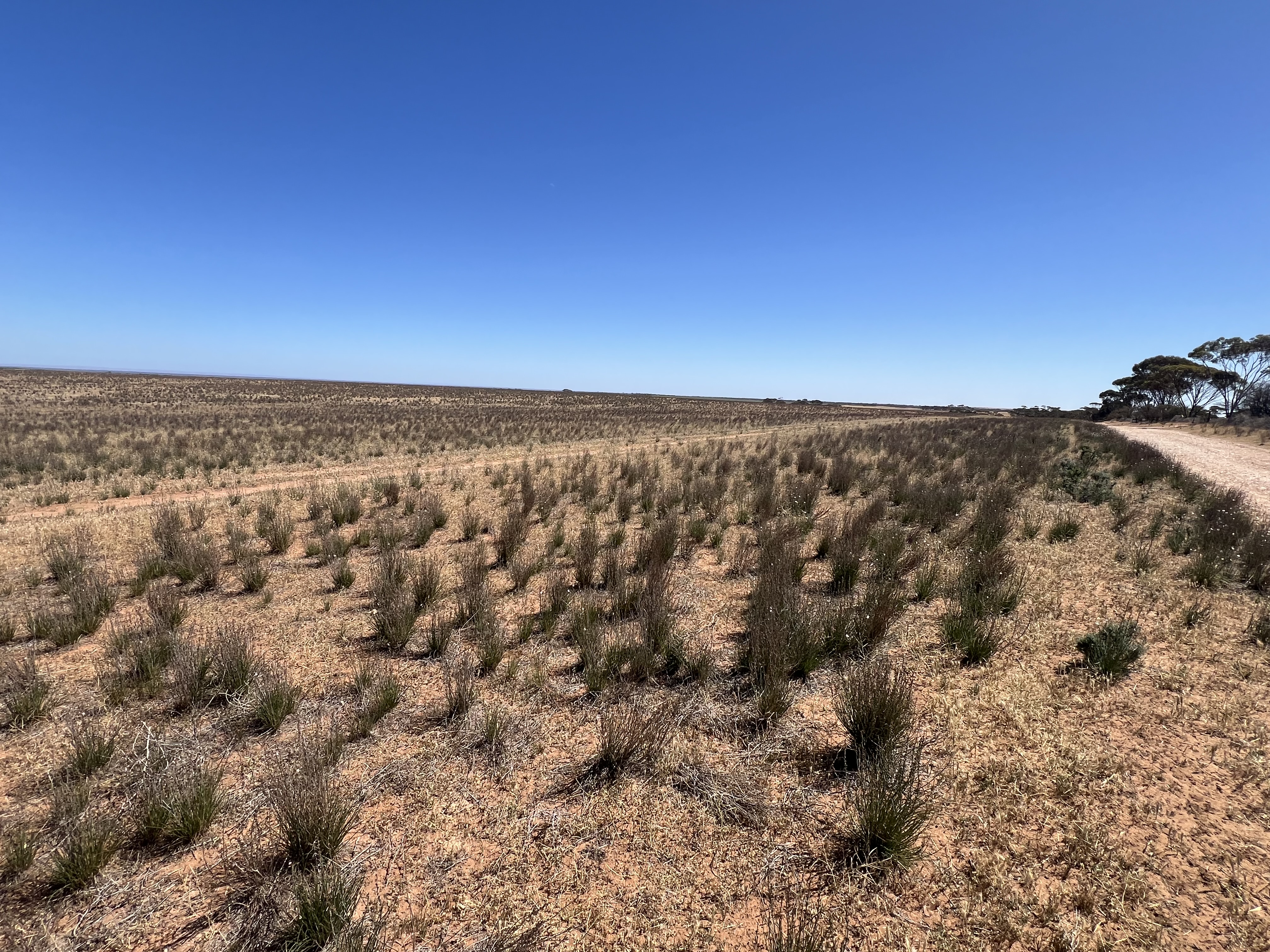 752 Greenways Road, Nildottie SA 5238