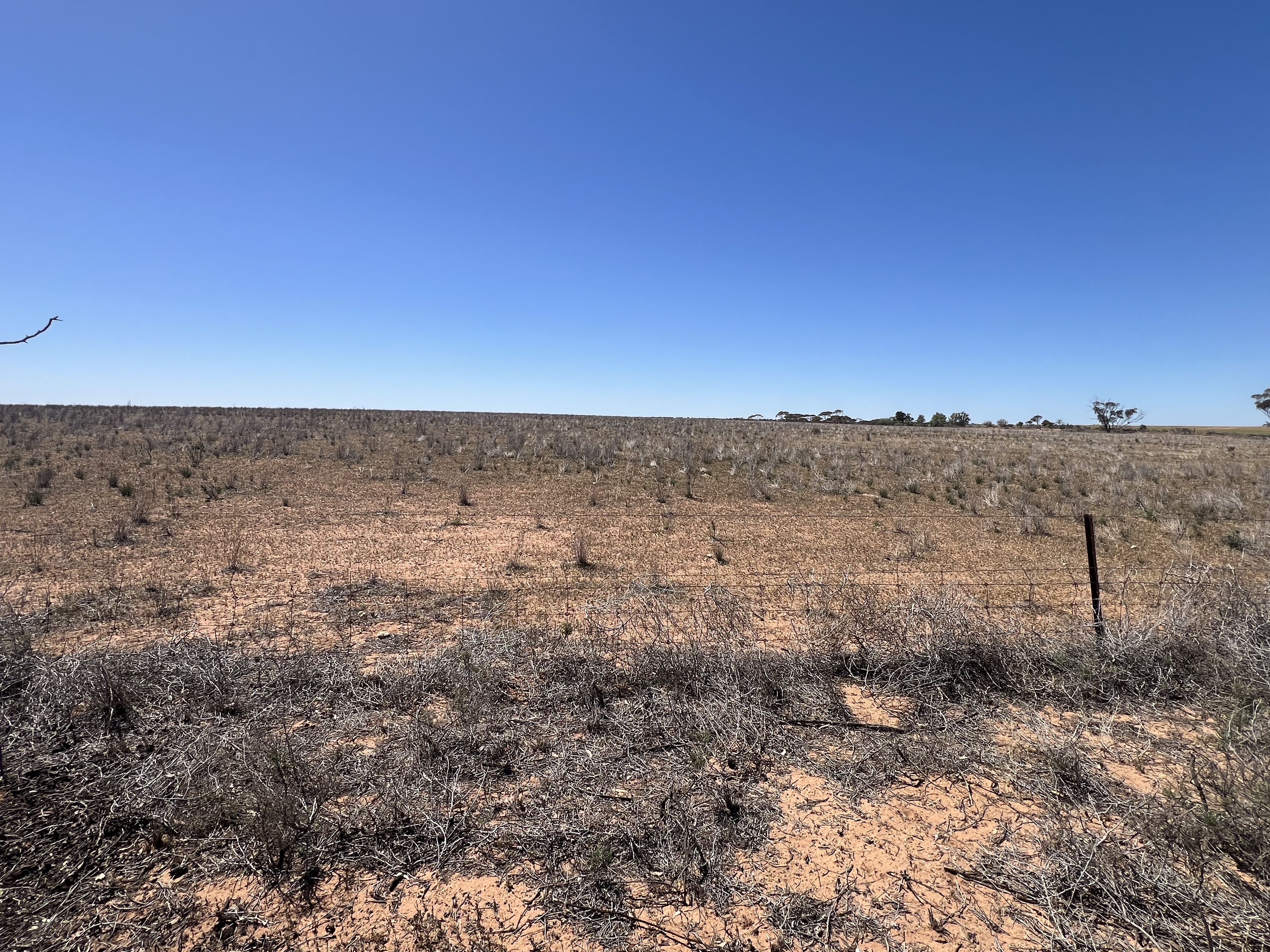 752 Greenways Road, Nildottie SA 5238