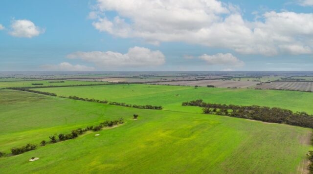 2293 & 2640 Mallee Highway, Sherlock SA 5301