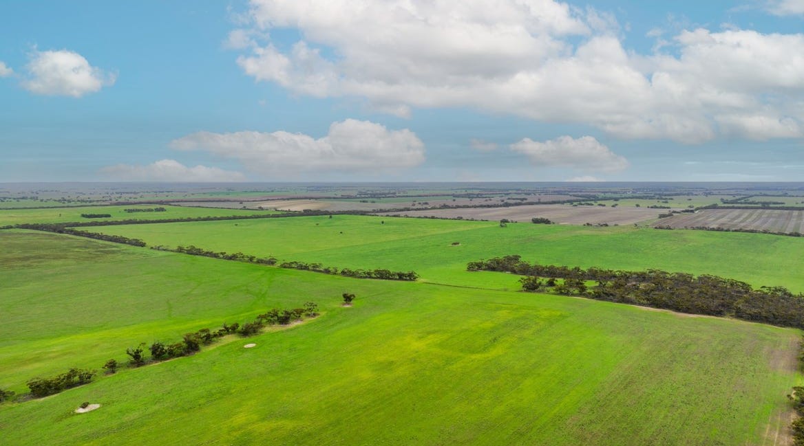 2293 & 2640 Mallee Highway, Sherlock SA 5301