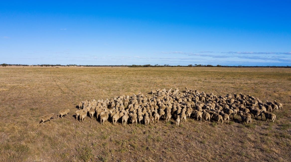 2293 & 2640 Mallee Highway, Sherlock SA 5301