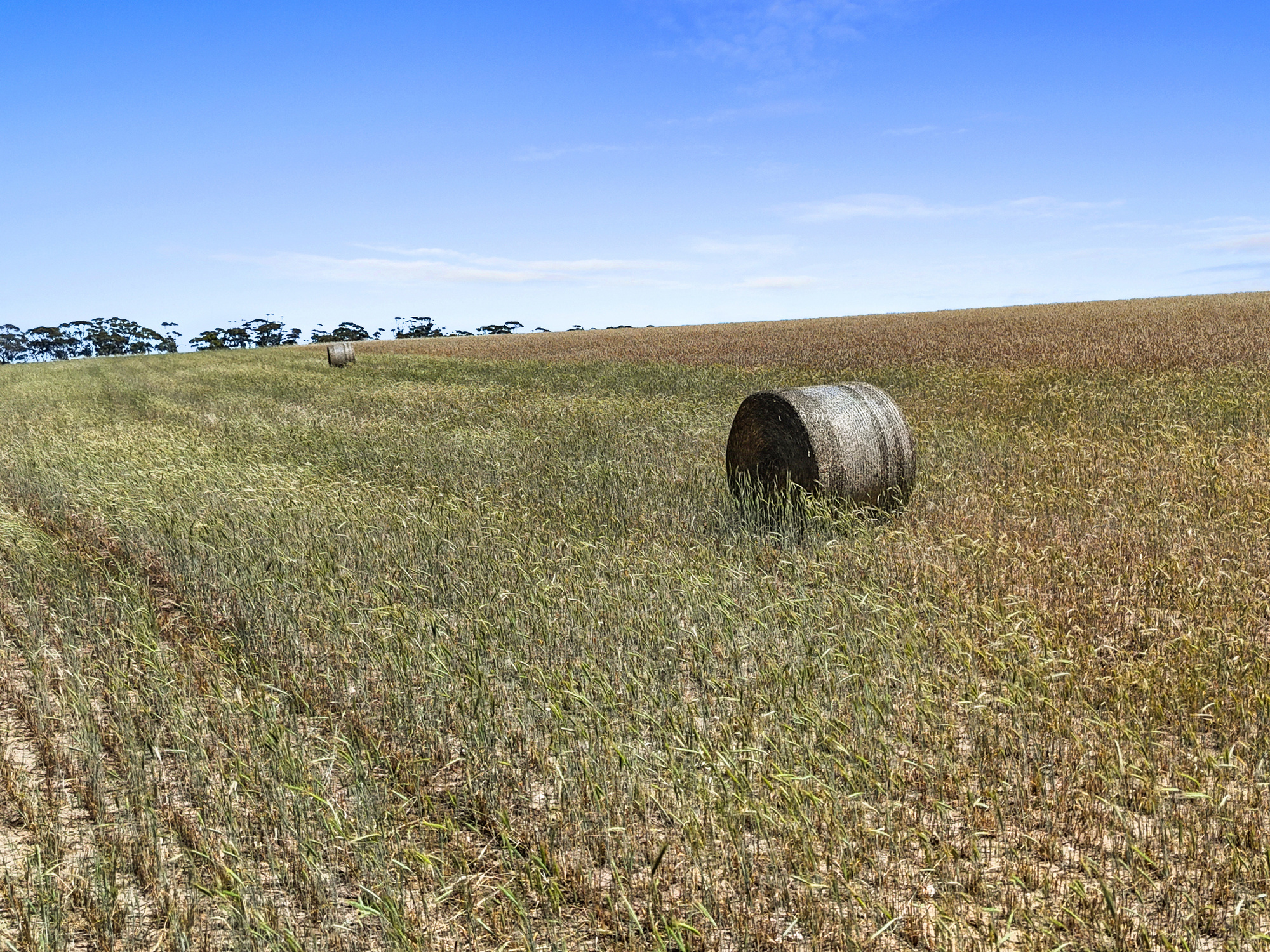 2293 & 2640 Mallee Highway, Sherlock SA 5301