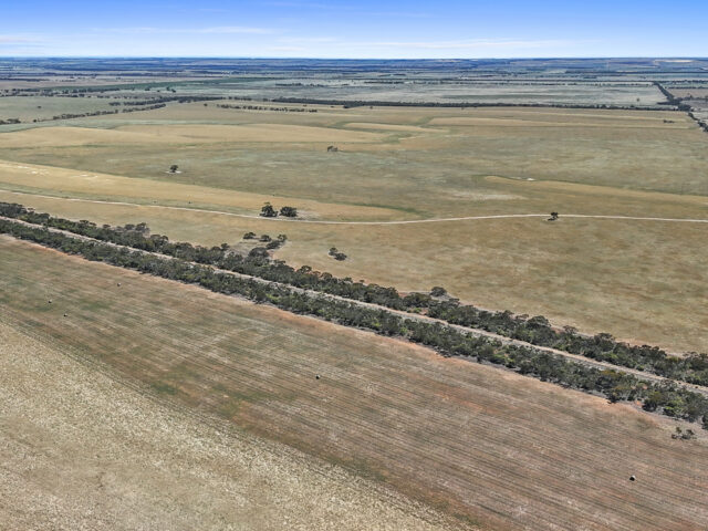 2293 & 2640 Mallee Highway, Sherlock SA 5301