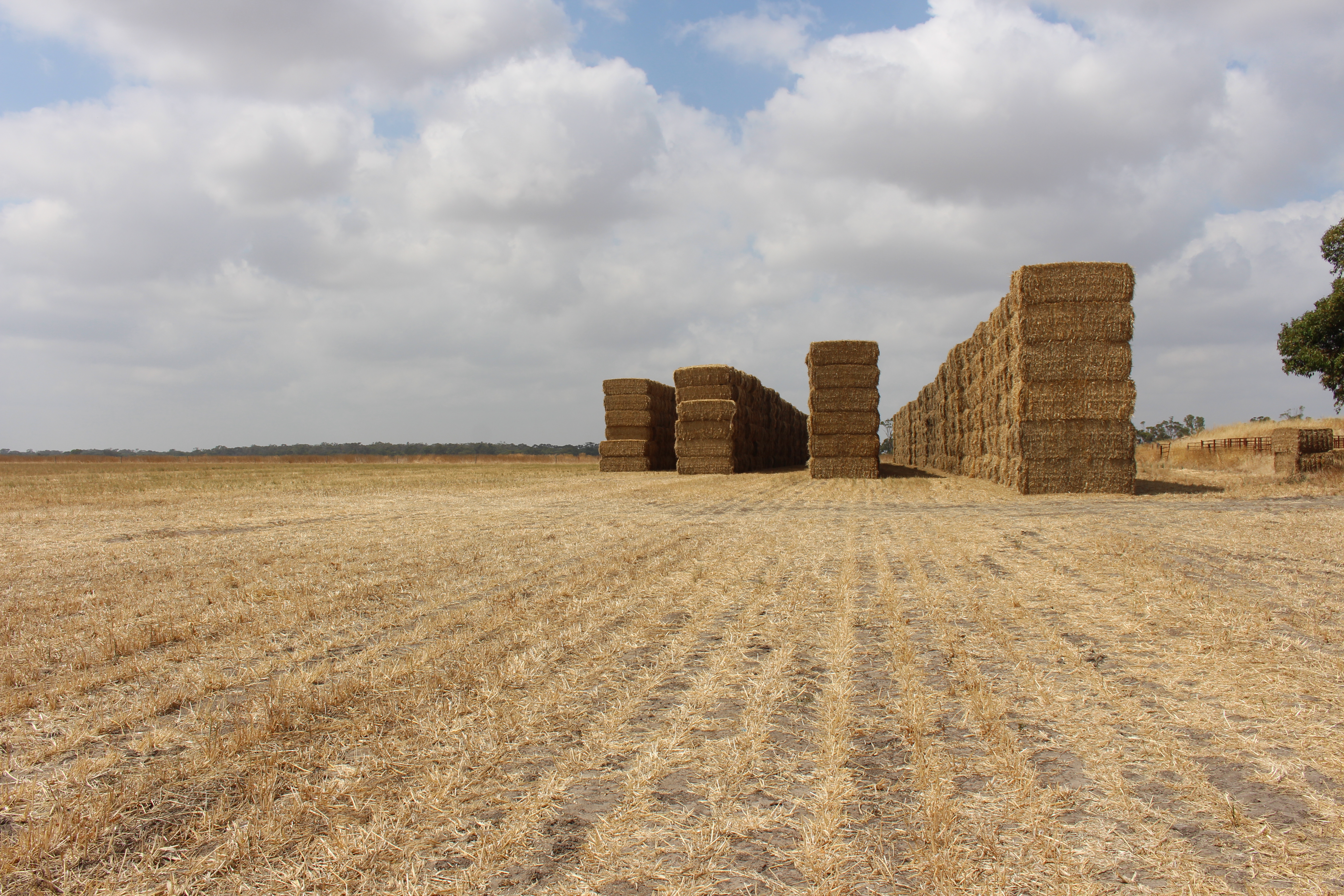 1427 Naracoorte Road, Bordertown SA 5268