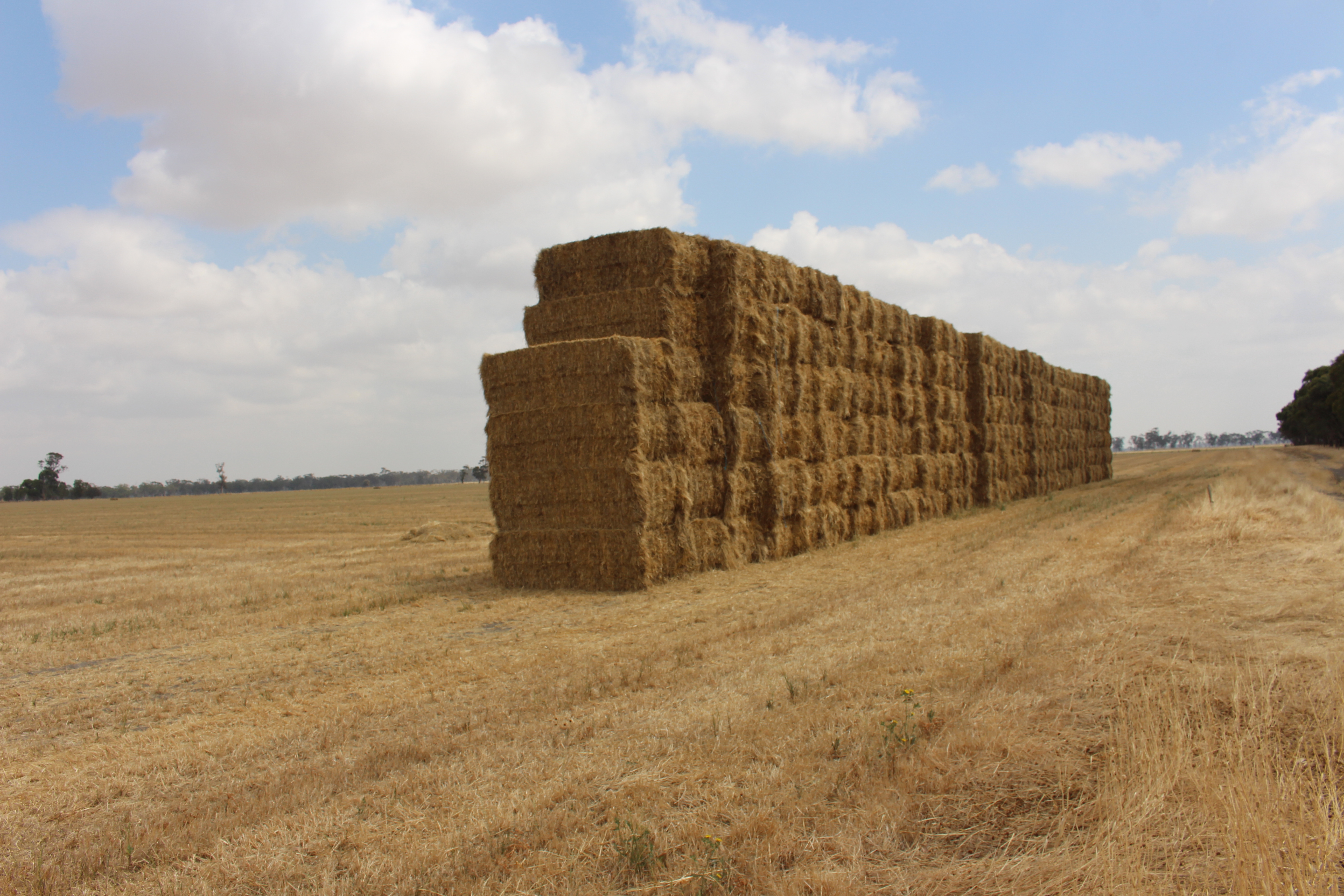 1427 Naracoorte Road, Bordertown SA 5268