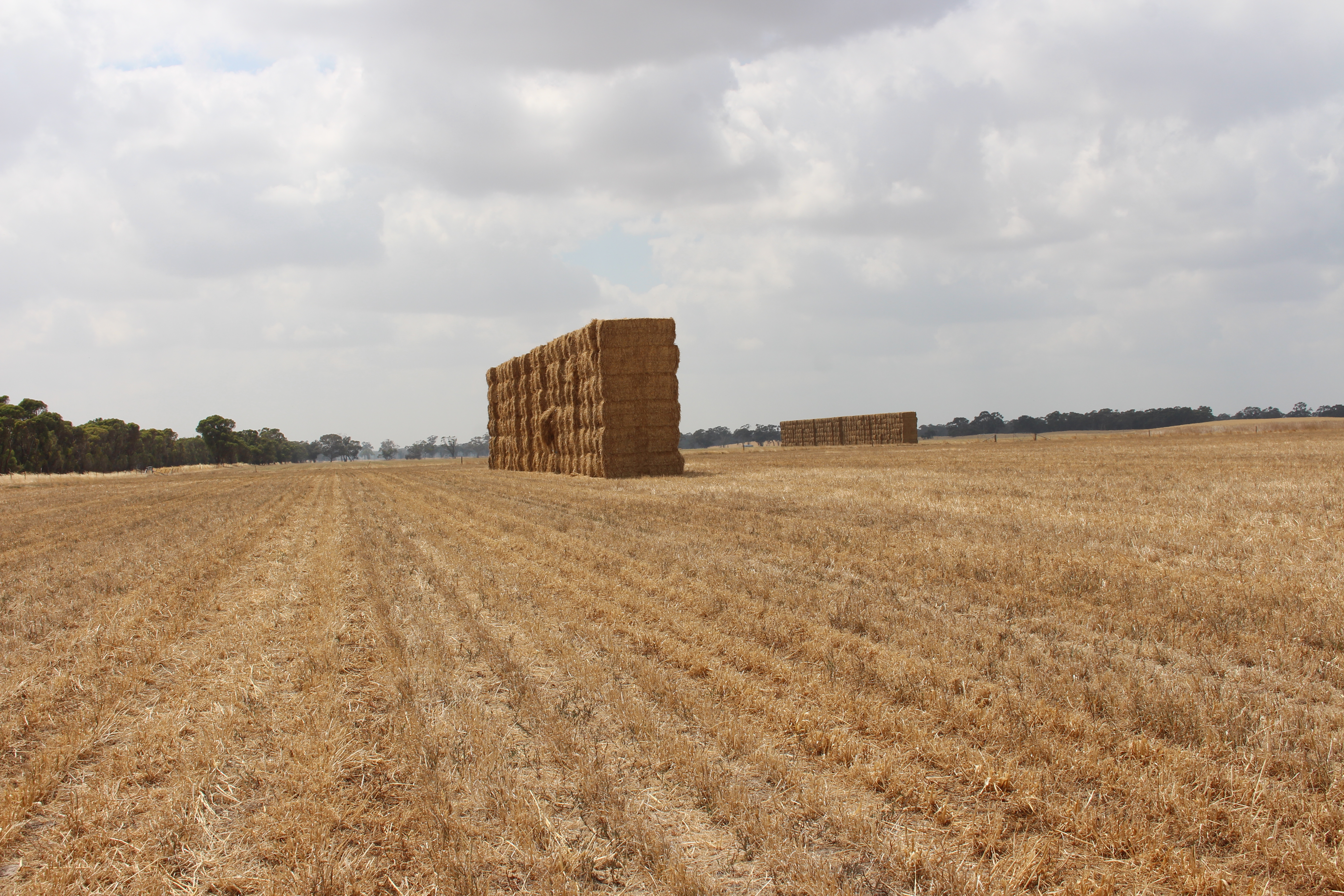 1427 Naracoorte Road, Bordertown SA 5268