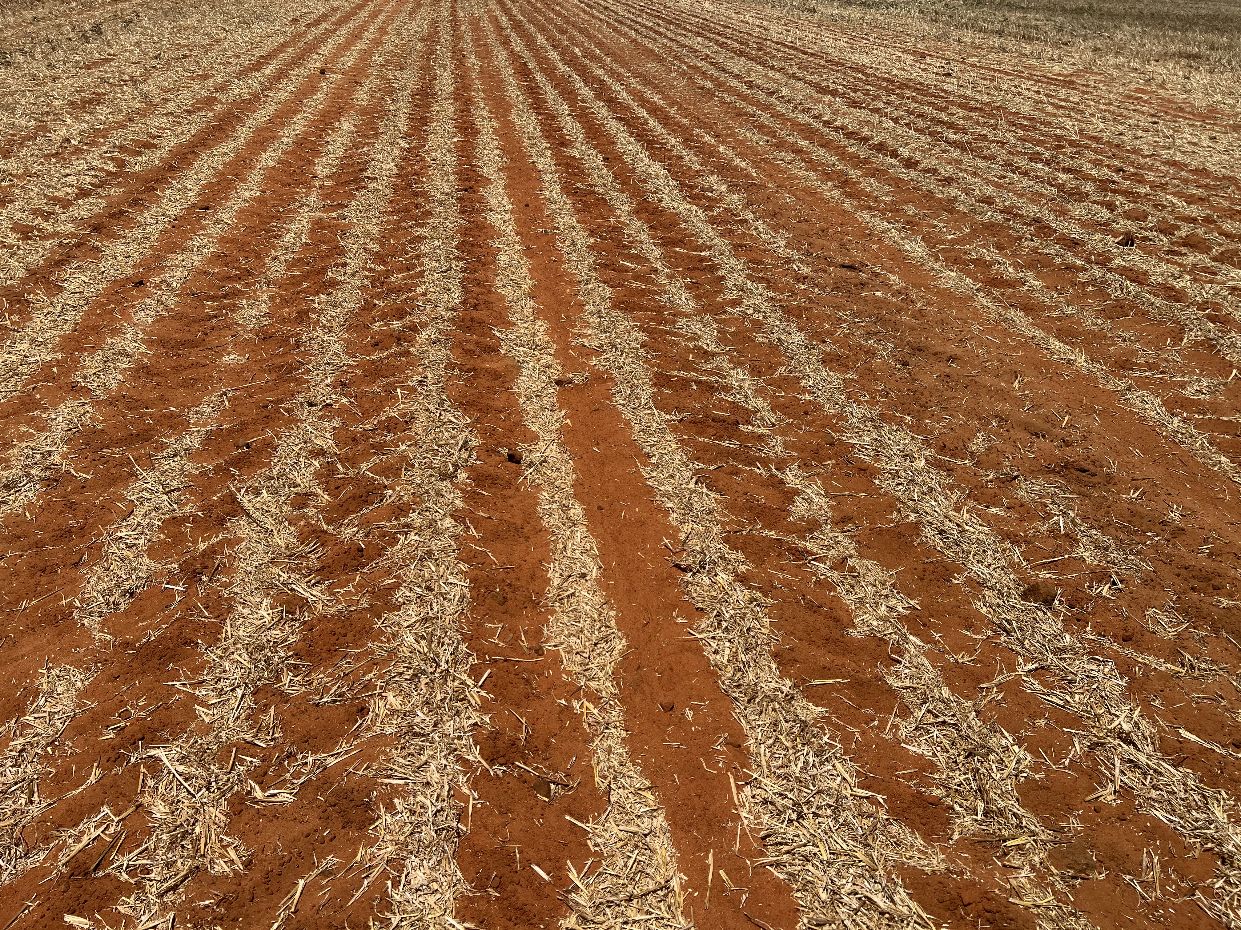 1523 Geranium North Road, Geranium SA 5301