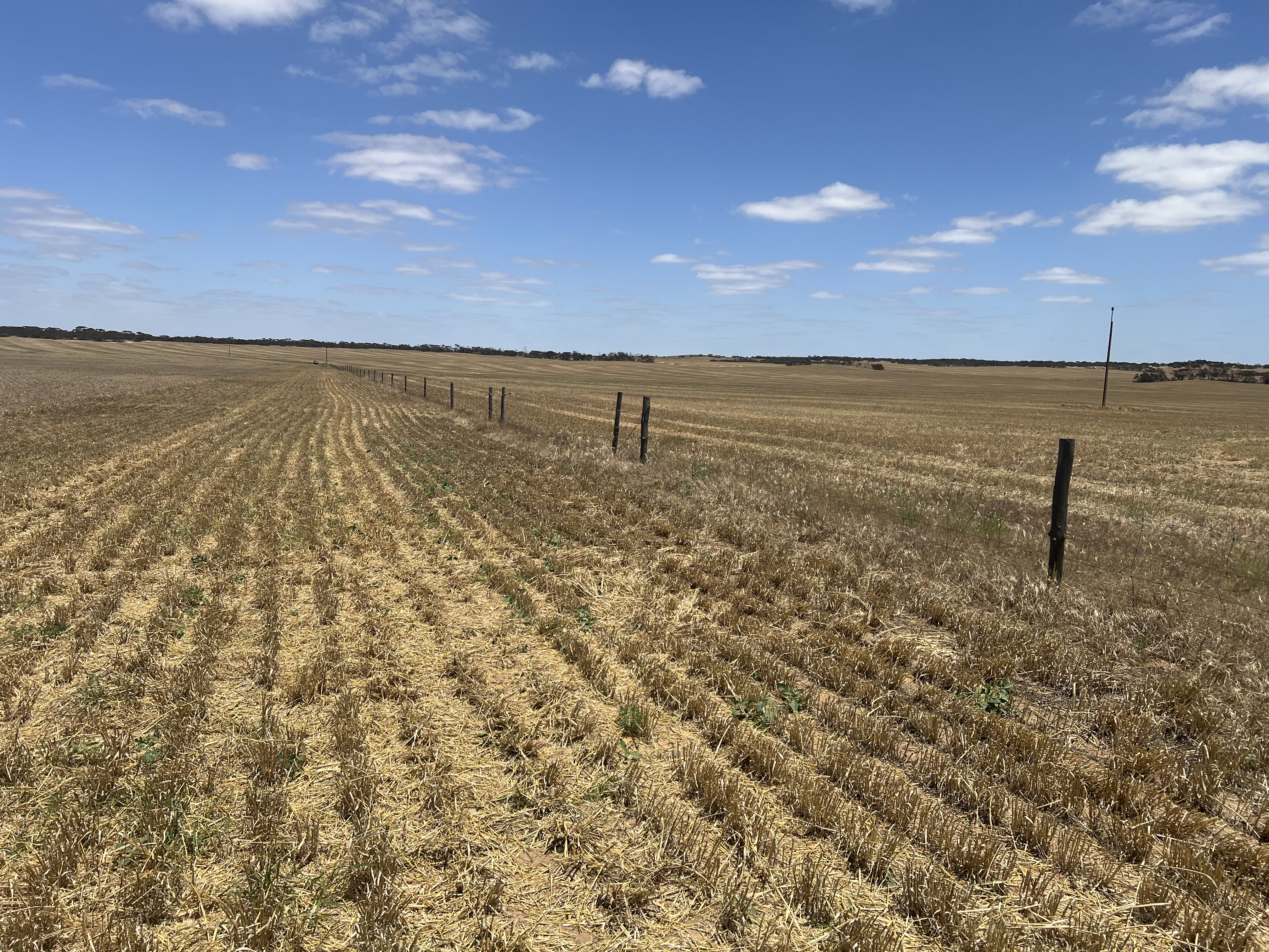 1523 Geranium North Road, Geranium SA 5301