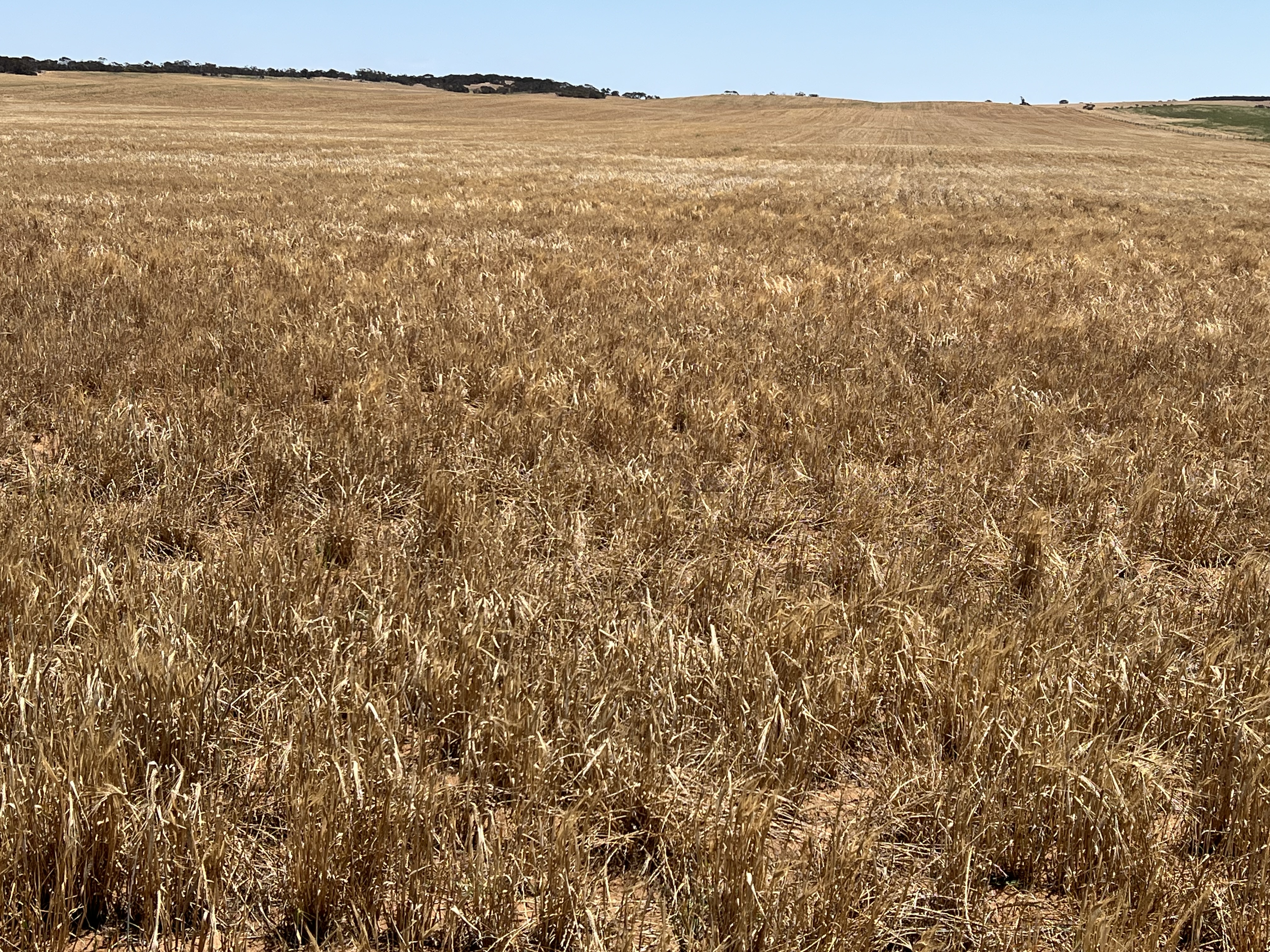 1523 Geranium North Road, Geranium SA 5301